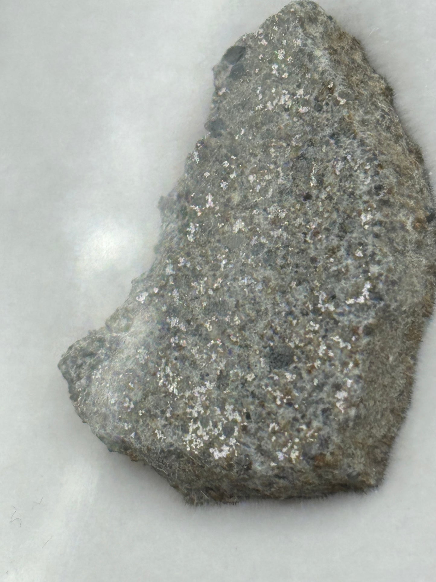 El Hammami Meteorite Specimen Official H5 Chondrite Mauritania Meteorite Historic Desert Find
