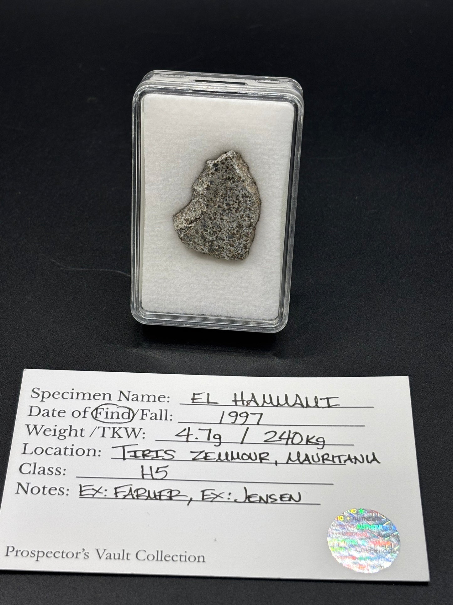 El Hammami Meteorite Specimen Official H5 Chondrite Mauritania Meteorite Historic Desert Find