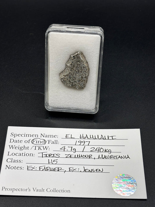 El Hammami Meteorite Specimen Official H5 Chondrite Mauritania Meteorite Historic Desert Find