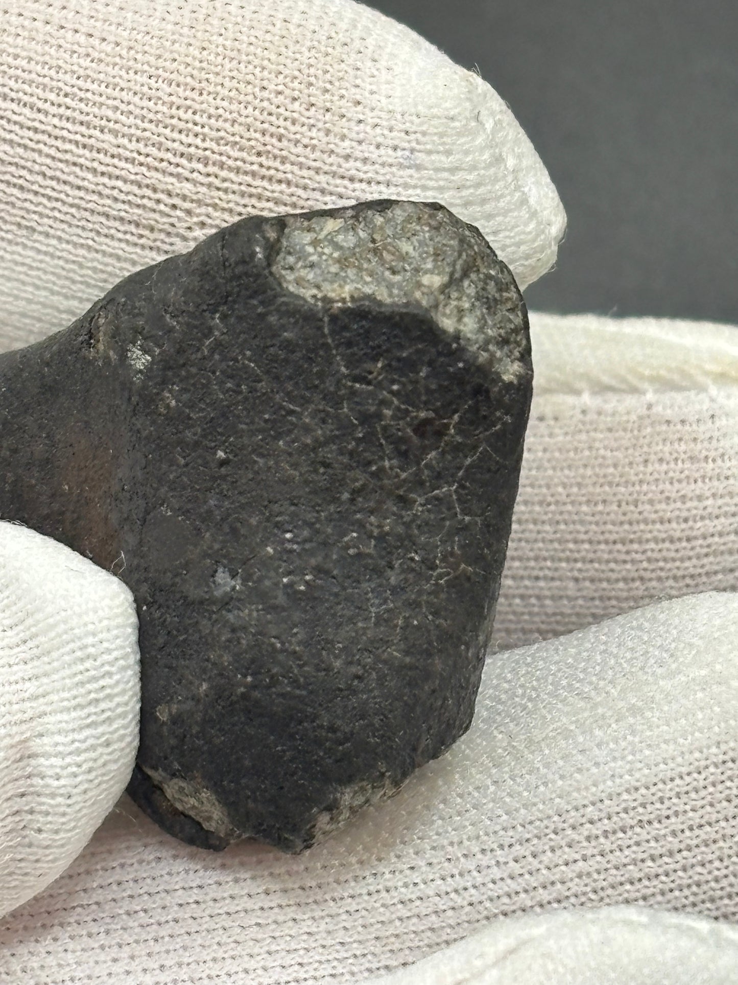 Chergach Meteorite Specimen Historic 2007 Observed Fall Official H5 Chondrite Mali Meteorite