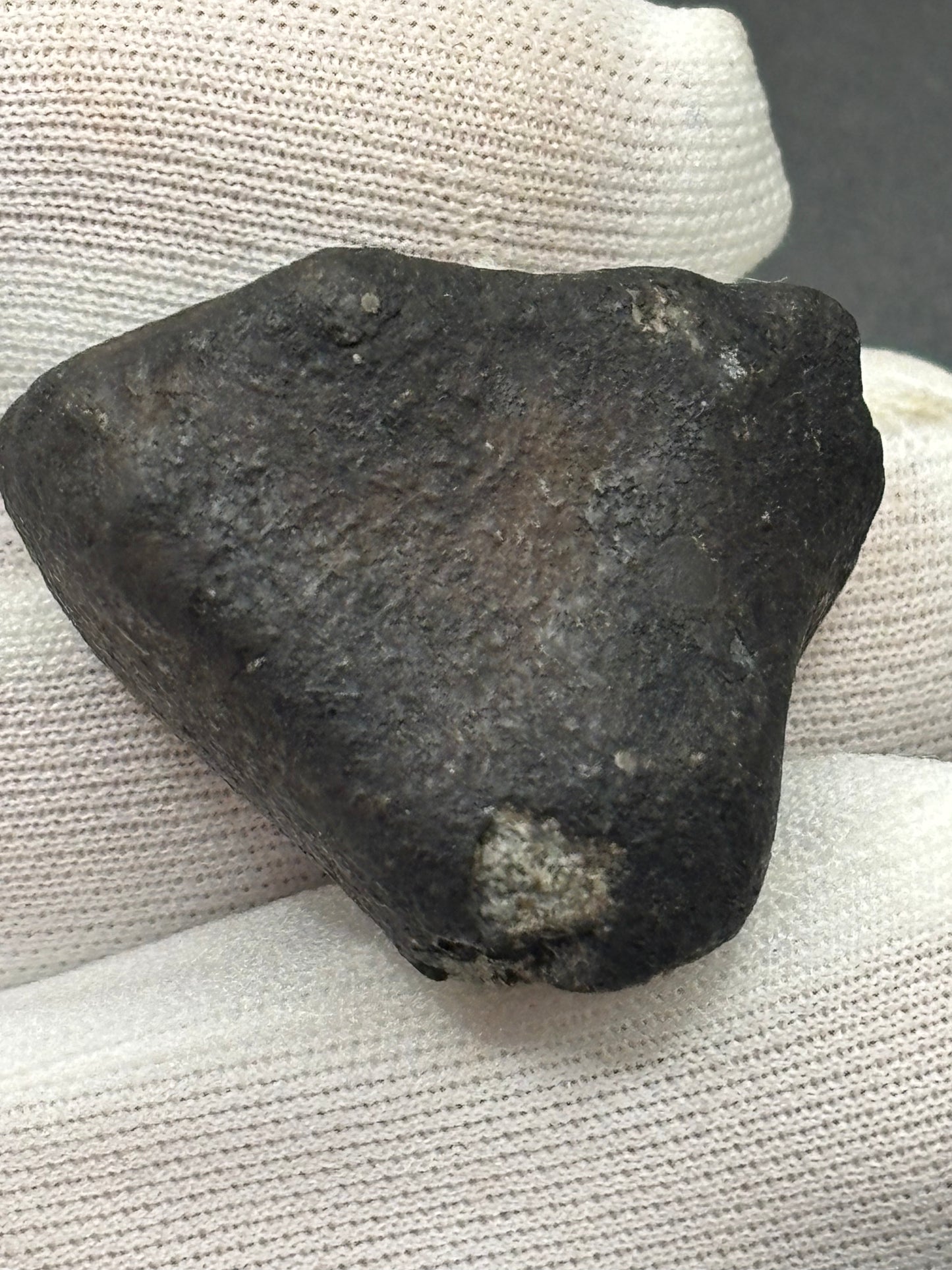 Chergach Meteorite Specimen Historic 2007 Observed Fall Official H5 Chondrite Mali Meteorite