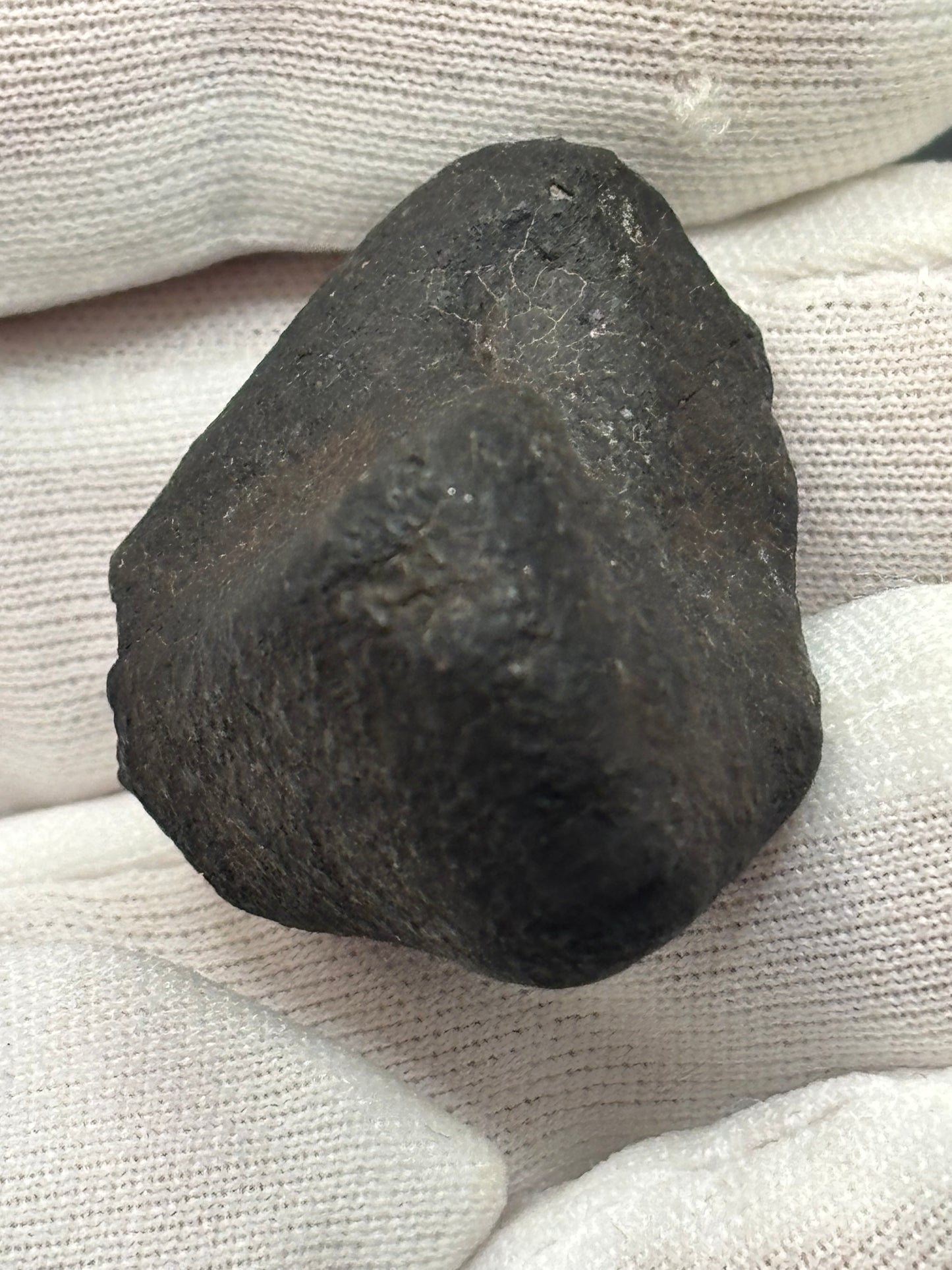 Chergach Meteorite Specimen Historic 2007 Observed Fall Official H5 Chondrite Mali Meteorite