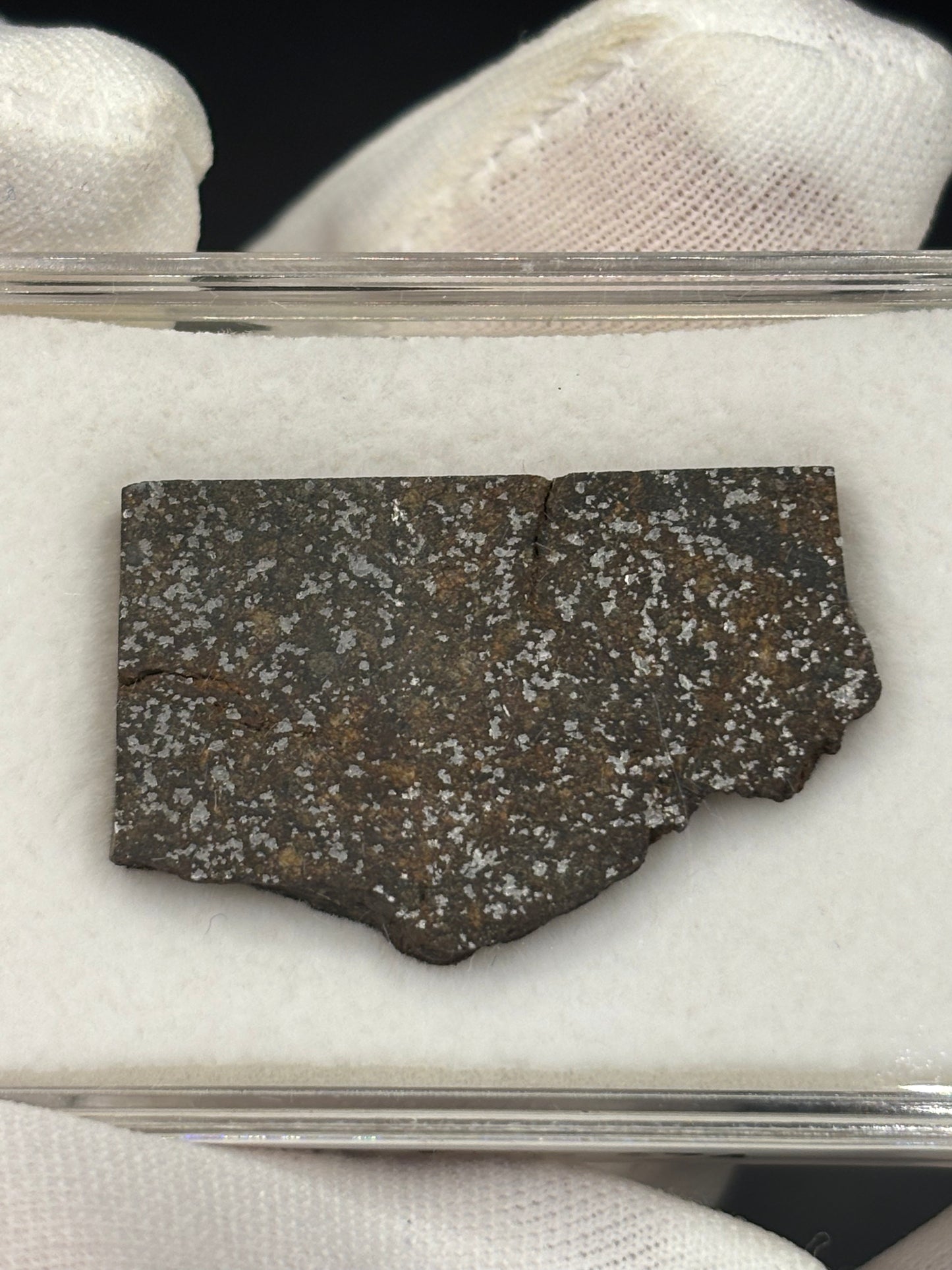 Hassayampa Meteorite Specimen Official H4 Chondrite Arizona Meteorite Historic Desert Find
