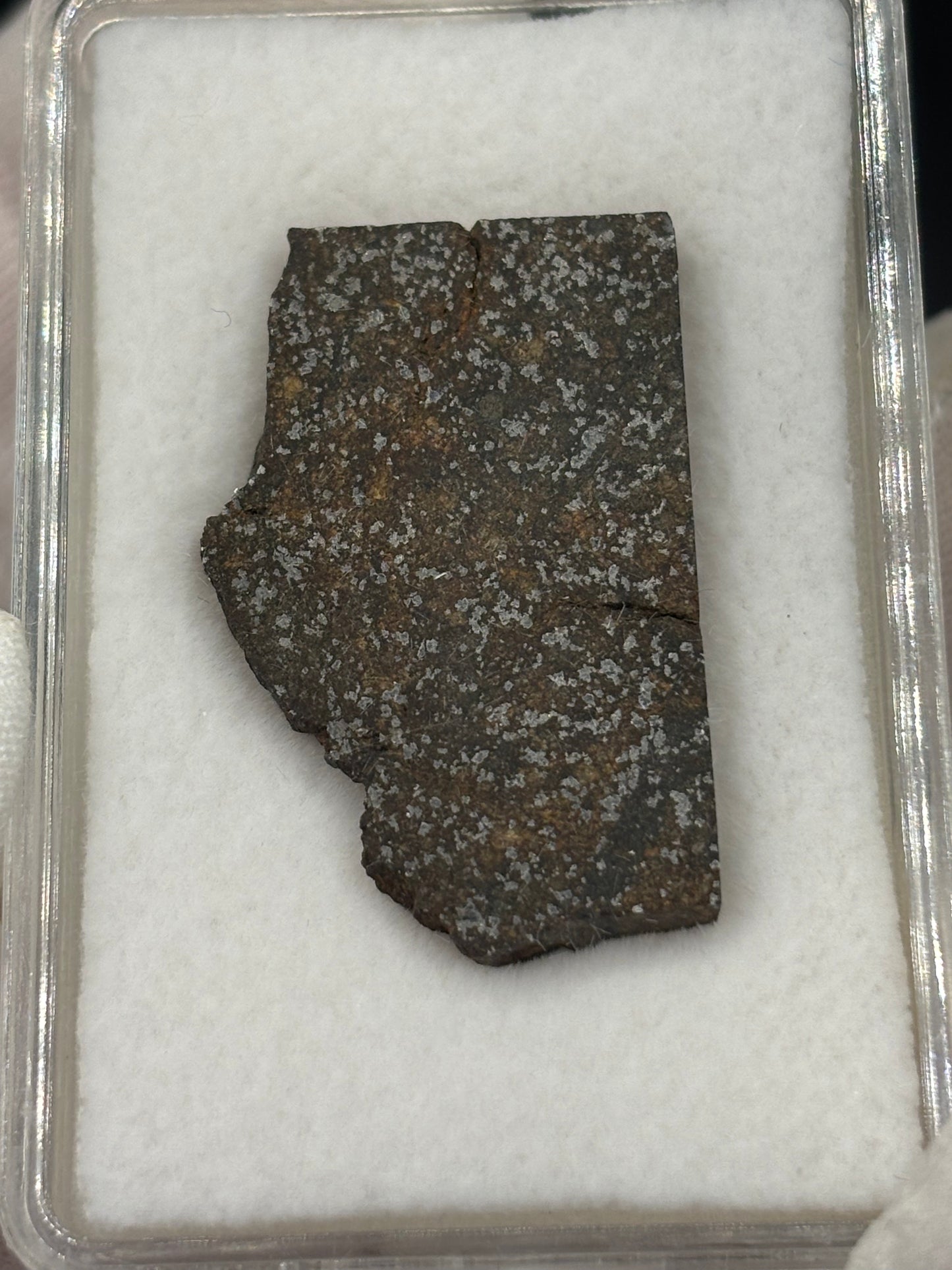 Hassayampa Meteorite Specimen Official H4 Chondrite Arizona Meteorite Historic Desert Find