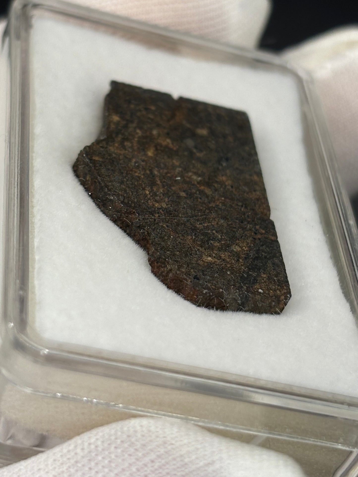 Hassayampa Meteorite Specimen Official H4 Chondrite Arizona Meteorite Historic Desert Find