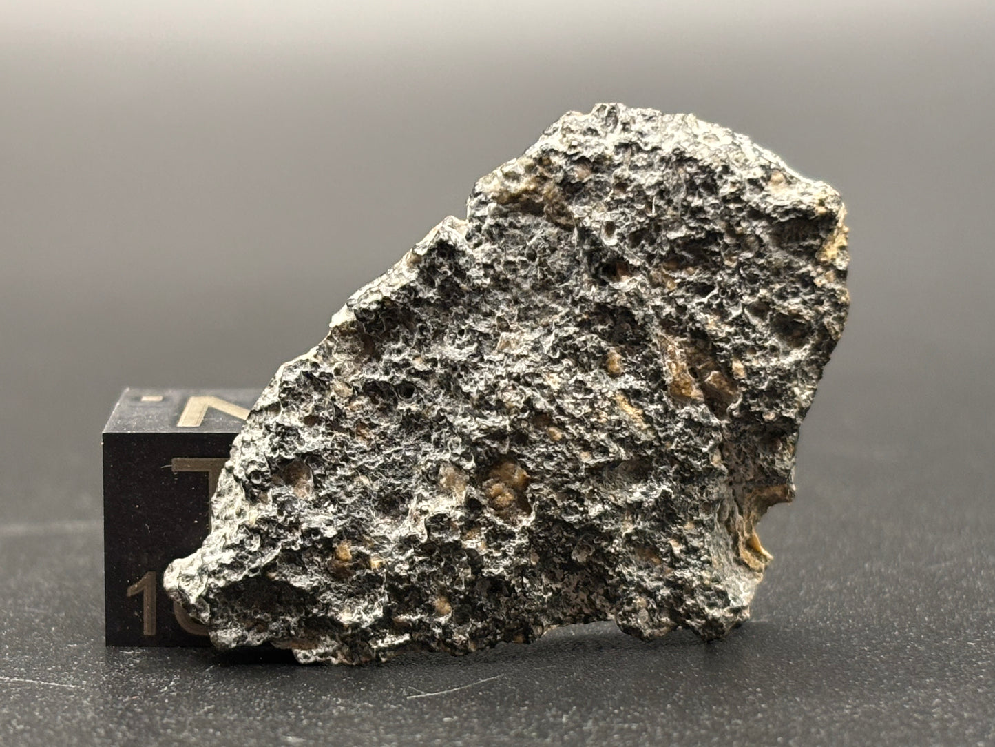 NWA 17859 "Black Lunar" Meteorite Specimen Official Feldspathic Breccia Moon Meteorite