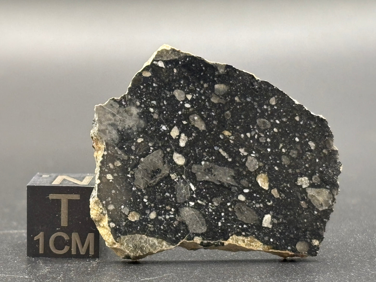 NWA 17859 "Black Lunar" Meteorite Specimen Official Feldspathic Breccia Moon Meteorite