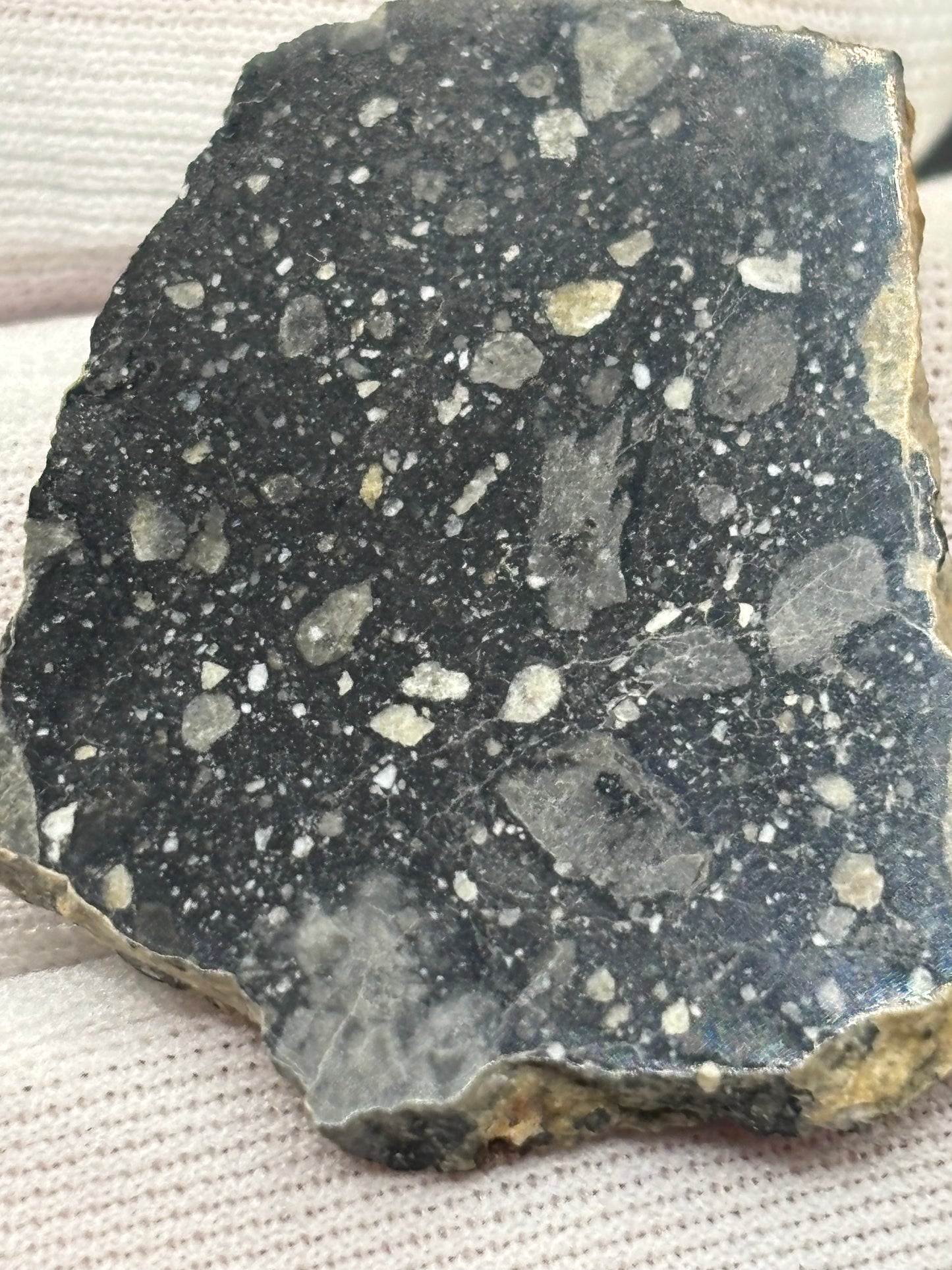 NWA 17859 "Black Lunar" Meteorite Specimen Official Feldspathic Breccia Moon Meteorite