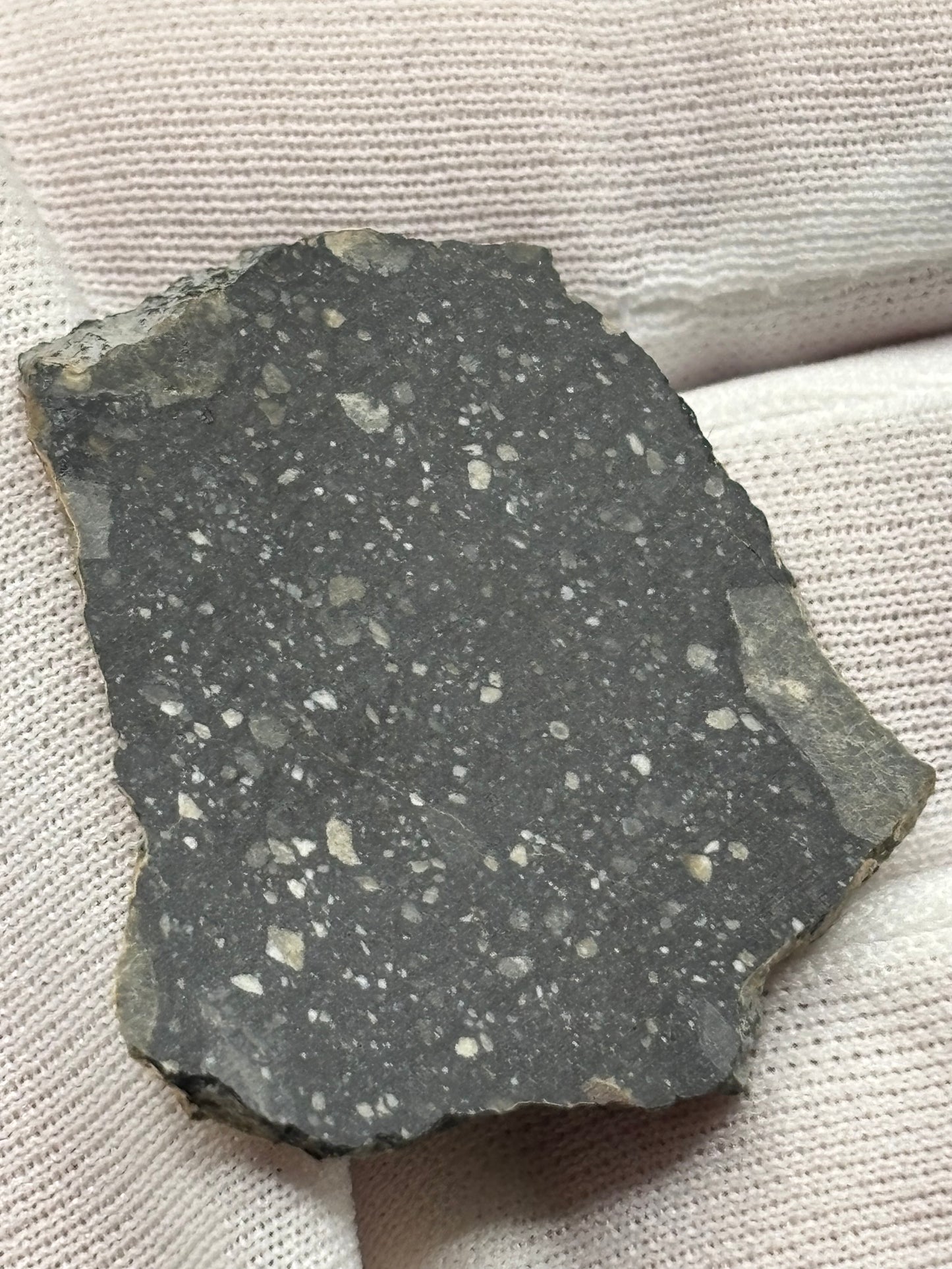 NWA 17859 "Black Lunar" Meteorite Specimen Official Feldspathic Breccia Moon Meteorite