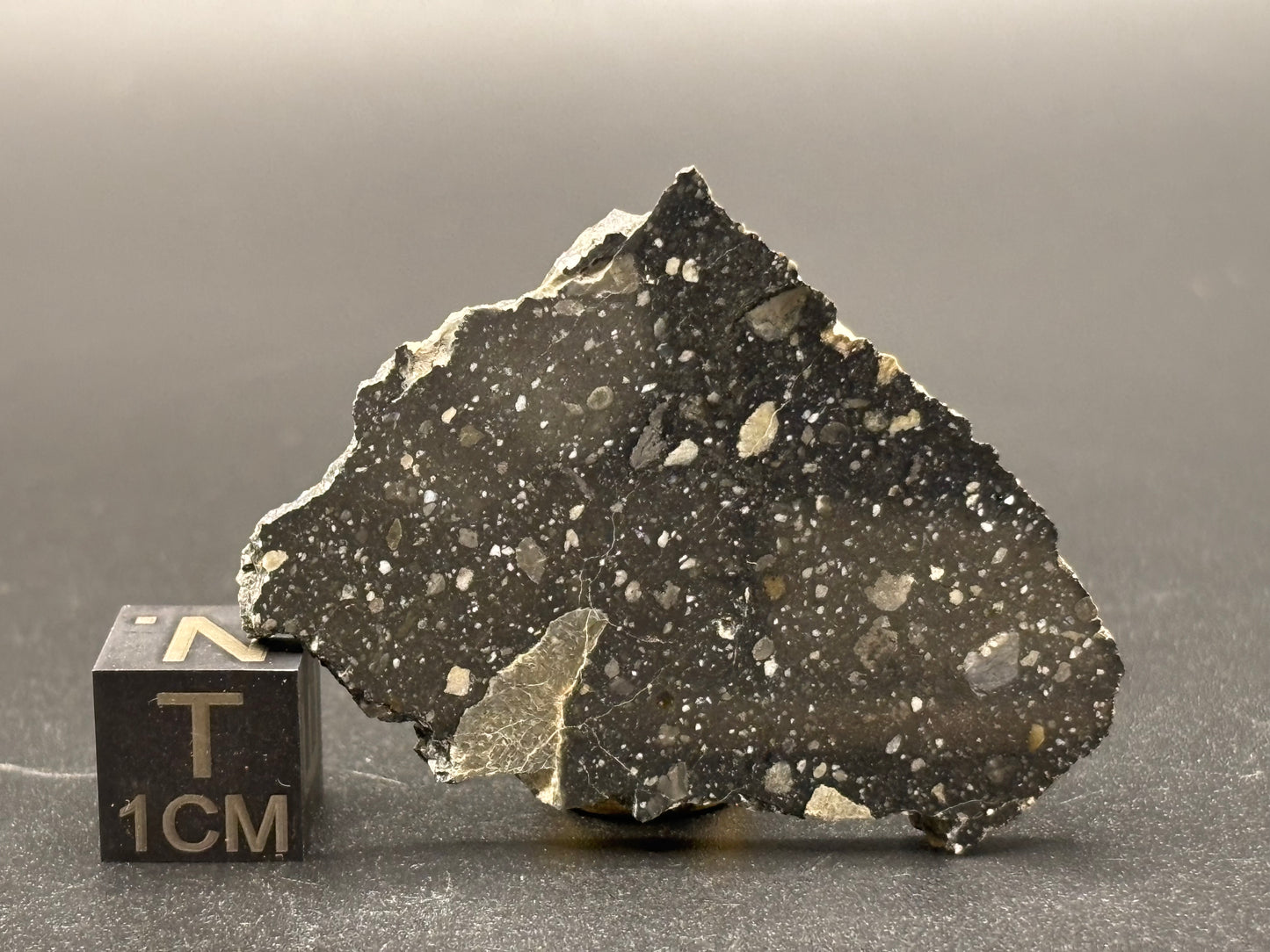 NWA 17859 "Black Lunar" Meteorite Specimen Official Feldspathic Breccia Moon Meteorite