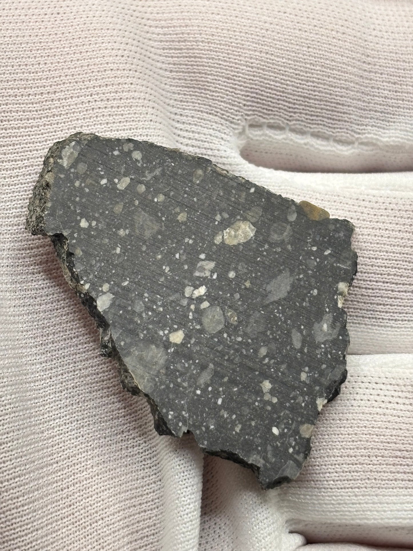 NWA 17859 "Black Lunar" Meteorite Specimen Official Feldspathic Breccia Moon Meteorite