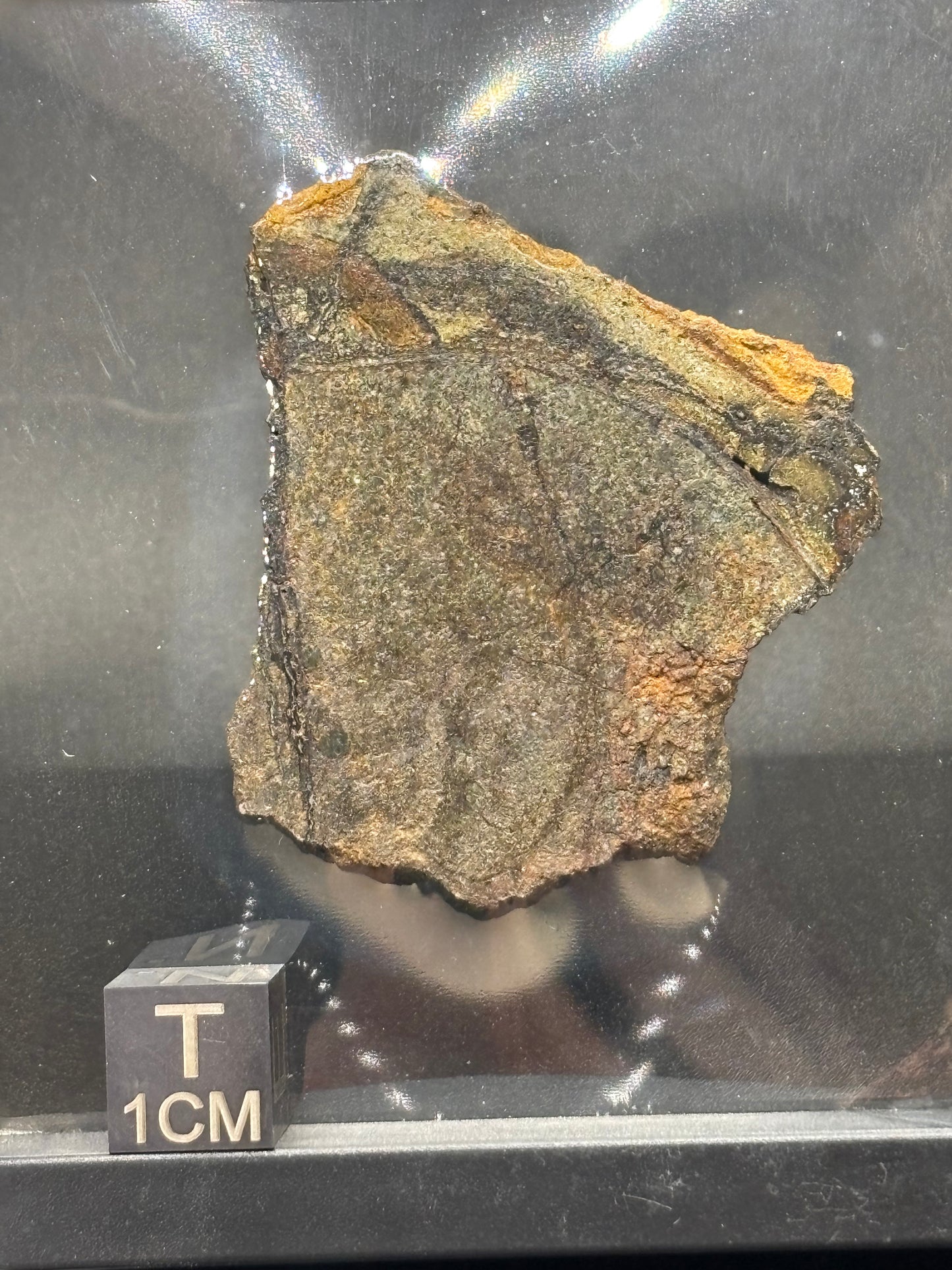 Al Haggounia 010 Aubrite Meteorite Specimen Official Enstatite Achondrite Western Sahara