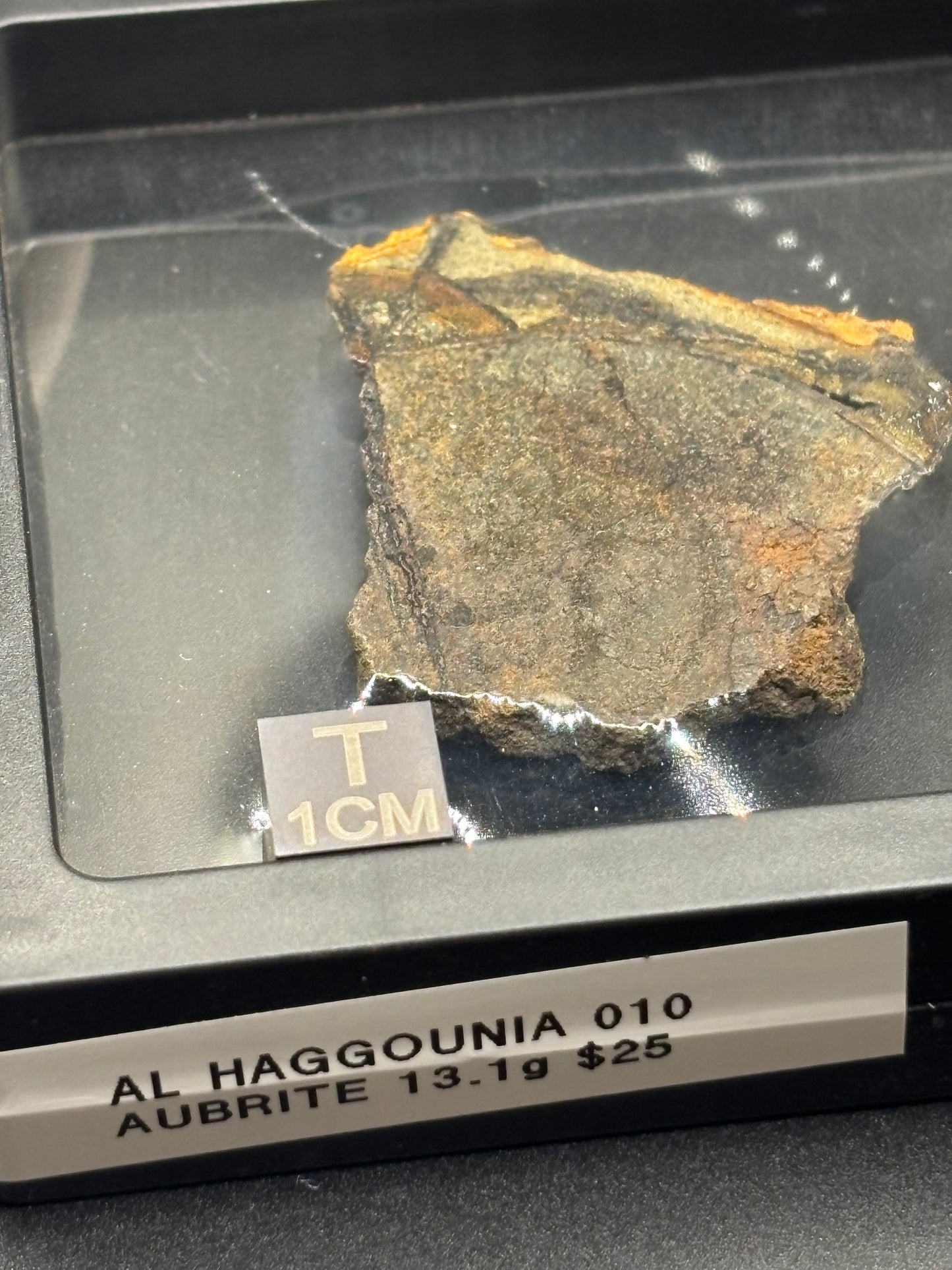 Al Haggounia 010 Aubrite Meteorite Specimen Official Enstatite Achondrite Western Sahara