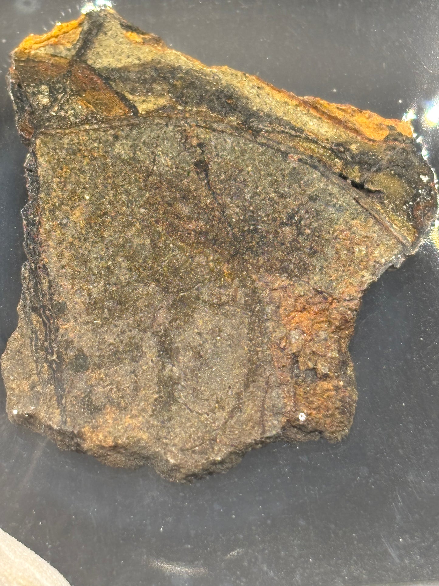 Al Haggounia 010 Aubrite Meteorite Specimen Official Enstatite Achondrite Western Sahara