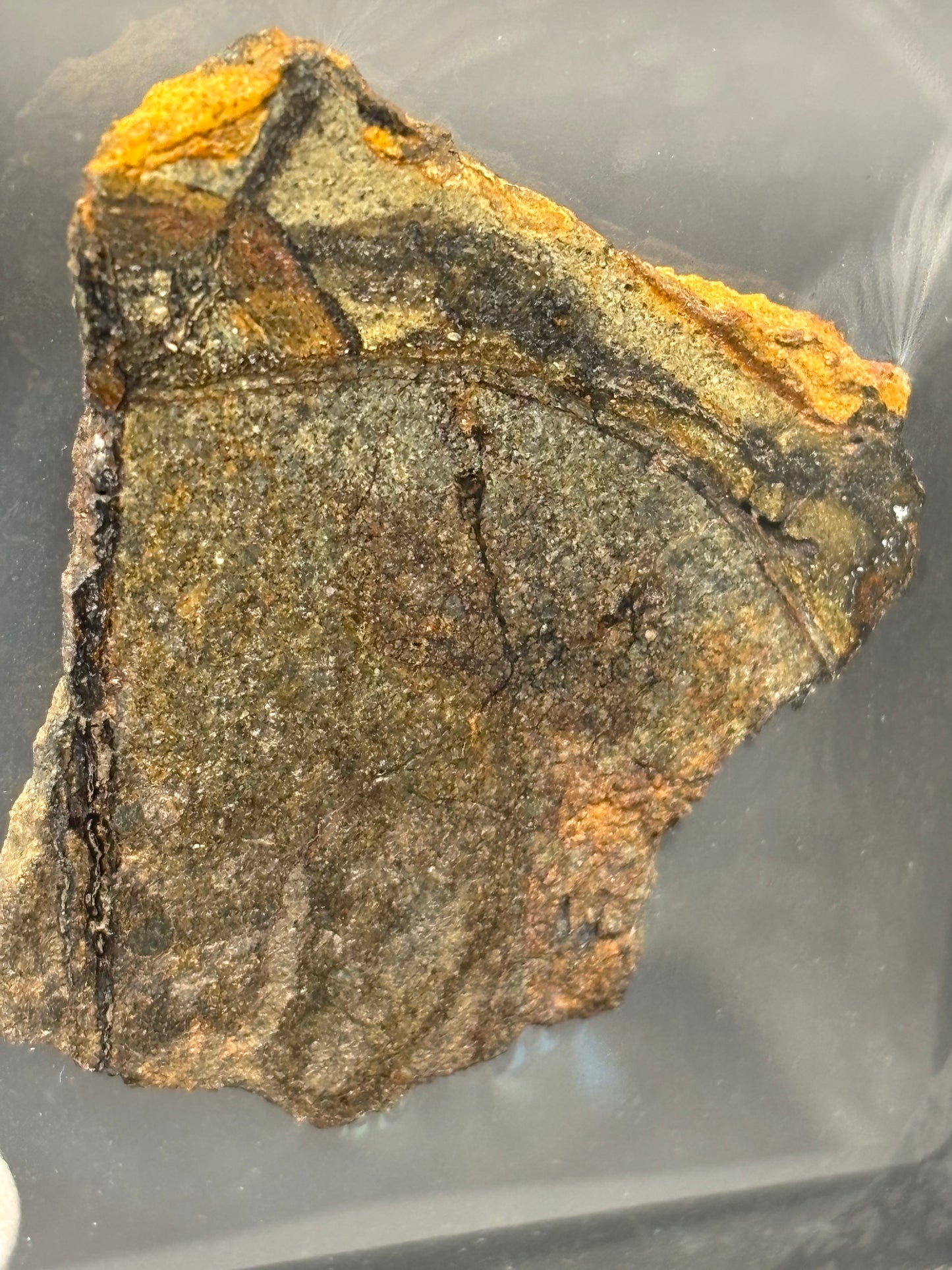 Al Haggounia 010 Aubrite Meteorite Specimen Official Enstatite Achondrite Western Sahara
