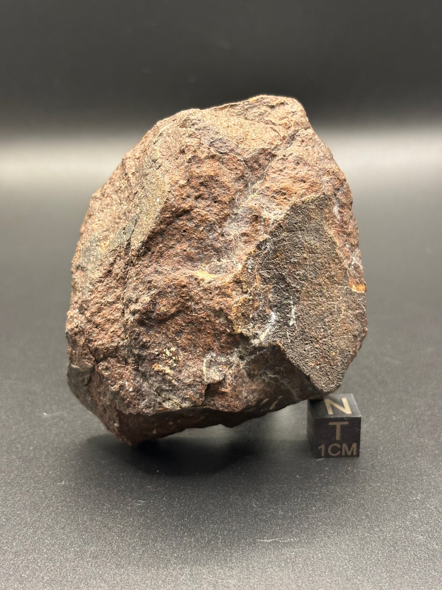 NWA XXX Meteorite Individual 254g Northwest Africa Chondrite Meteorite Specimen