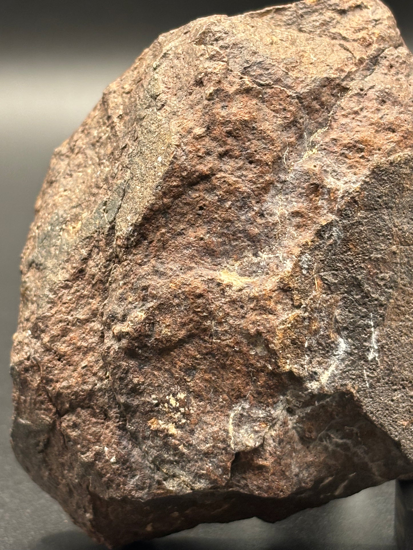 NWA XXX Meteorite Individual 254g Northwest Africa Chondrite Meteorite Specimen