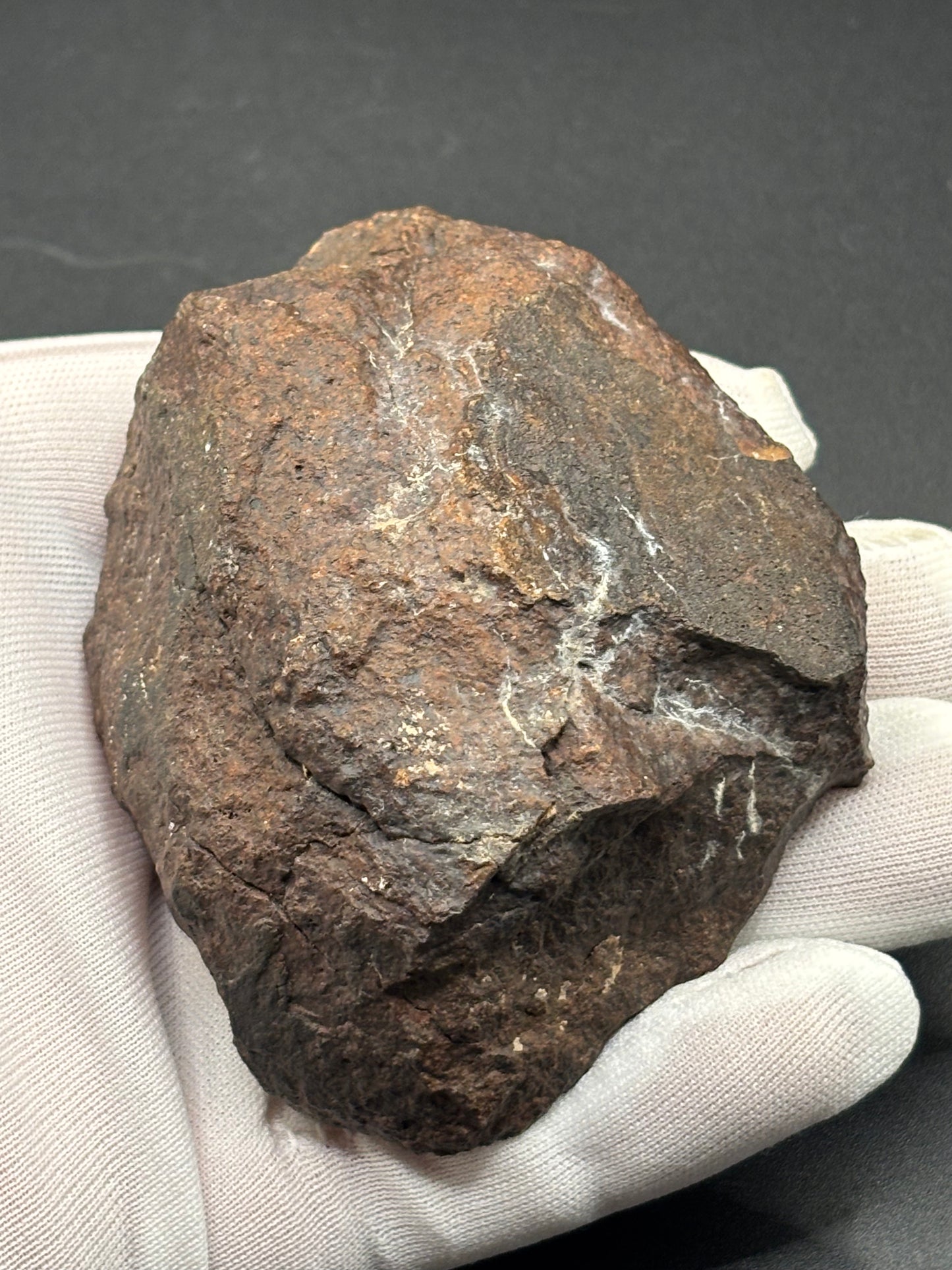 NWA XXX Meteorite Individual 254g Northwest Africa Chondrite Meteorite Specimen
