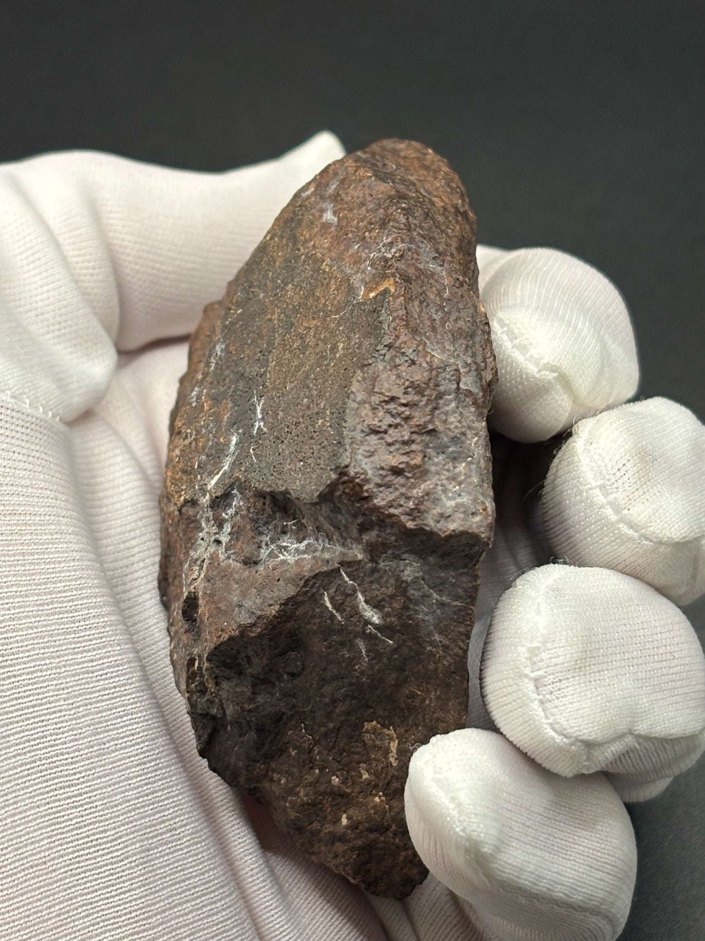 NWA XXX Meteorite Individual 254g Northwest Africa Chondrite Meteorite Specimen