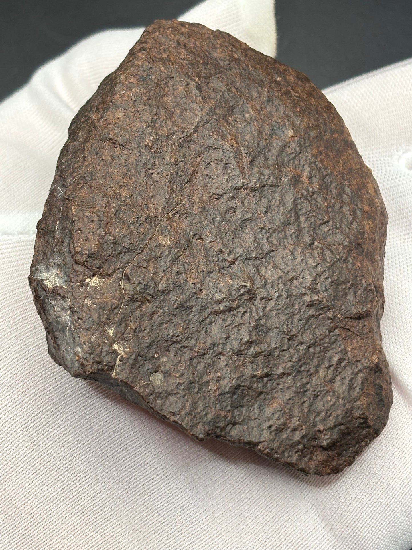 NWA XXX Meteorite Individual 254g Northwest Africa Chondrite Meteorite Specimen