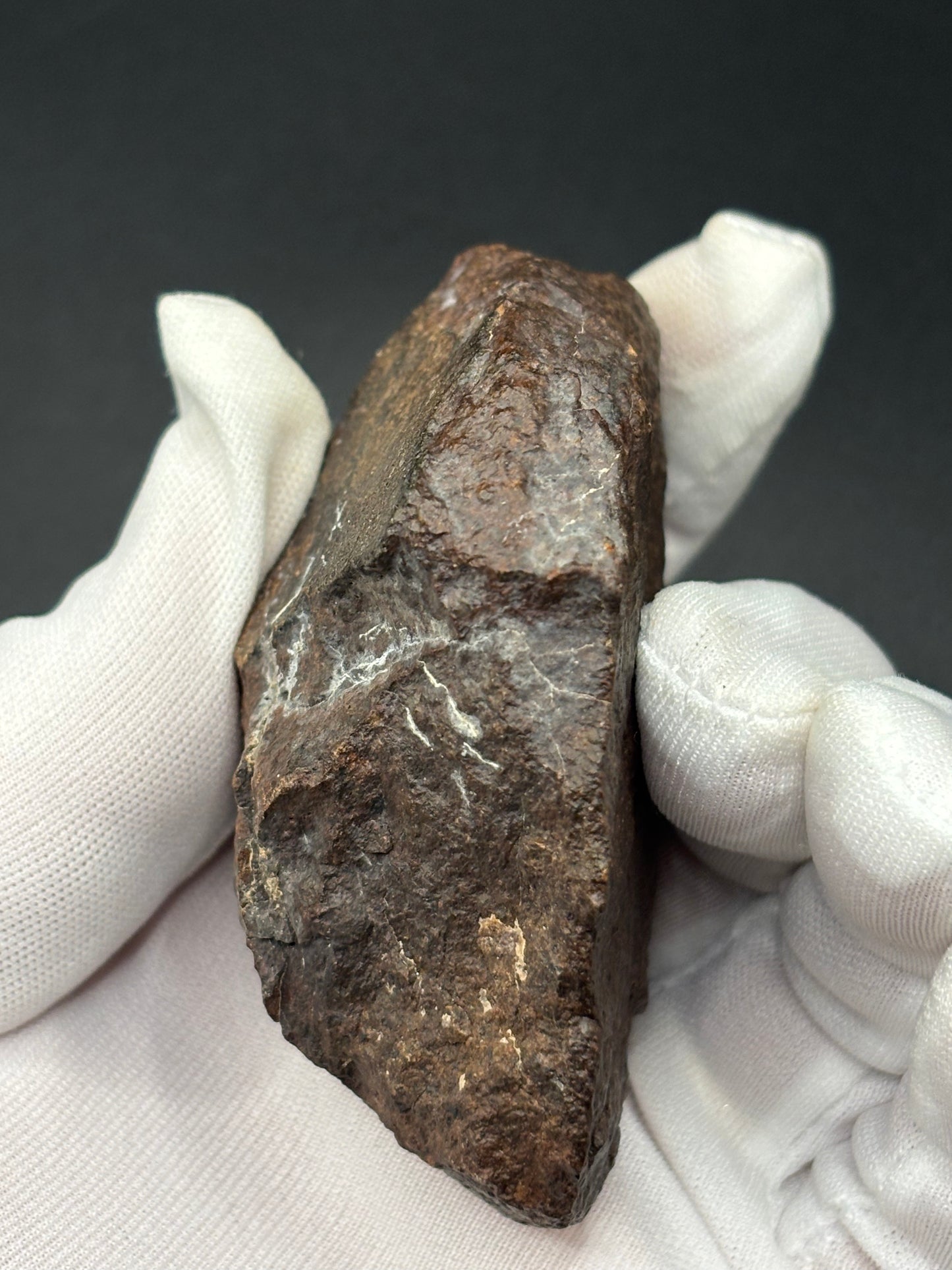NWA XXX Meteorite Individual 254g Northwest Africa Chondrite Meteorite Specimen