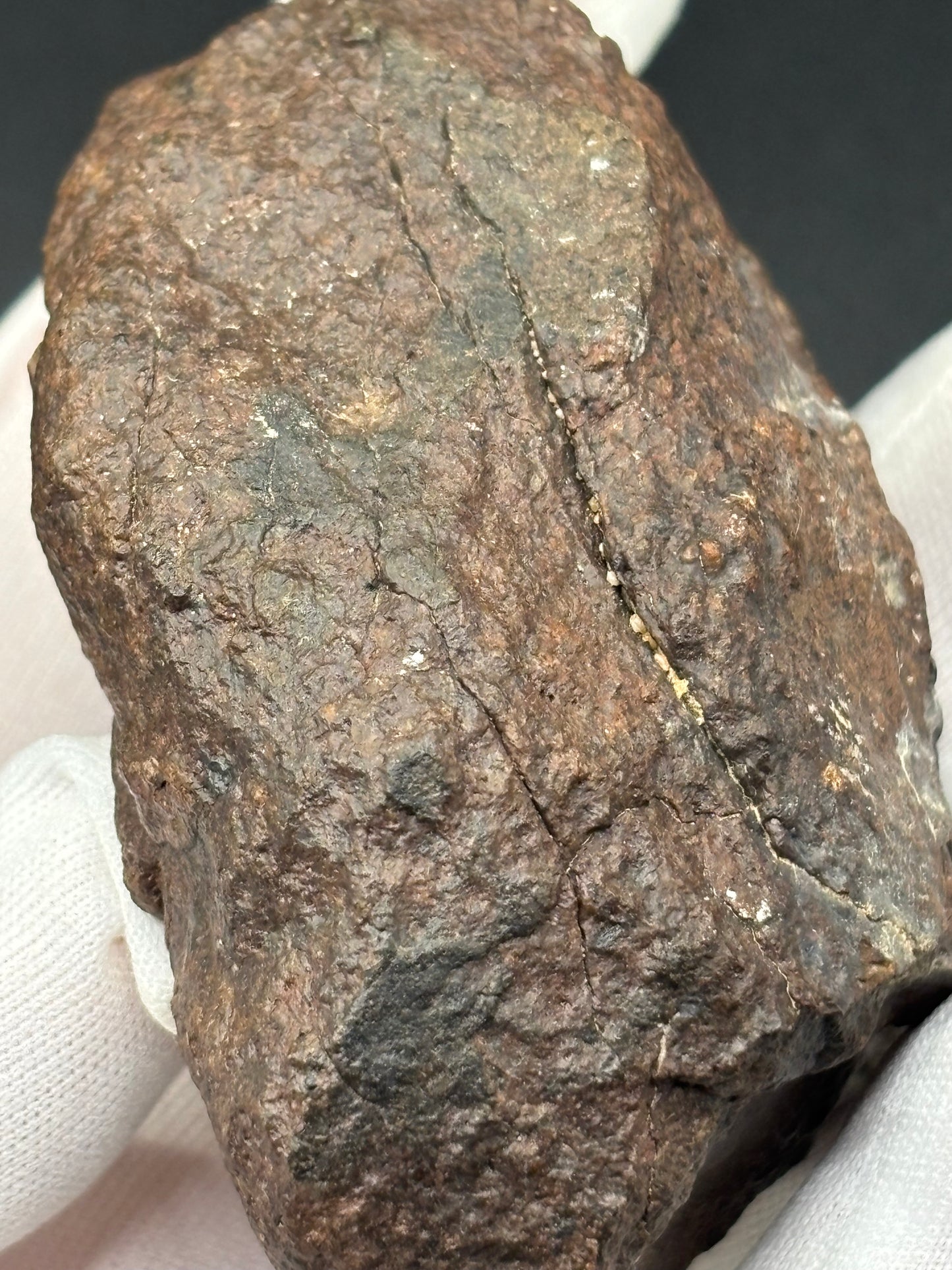 NWA XXX Meteorite Individual 254g Northwest Africa Chondrite Meteorite Specimen