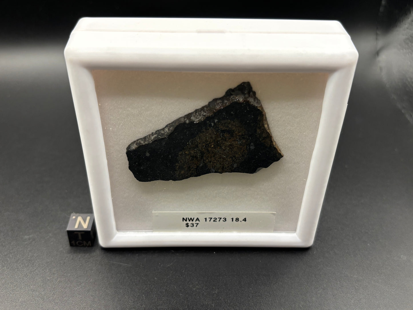 NWA 17273 Meteorite Specimen Official L5 Melt Breccia Northwest Africa Meteorite