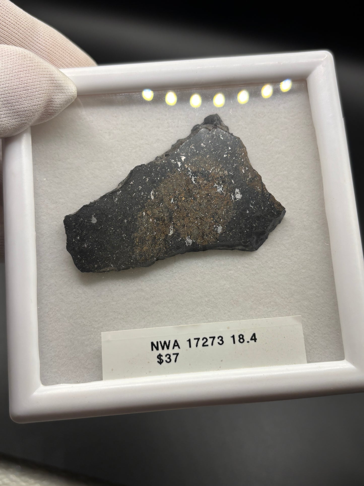 NWA 17273 Meteorite Specimen Official L5 Melt Breccia Northwest Africa Meteorite