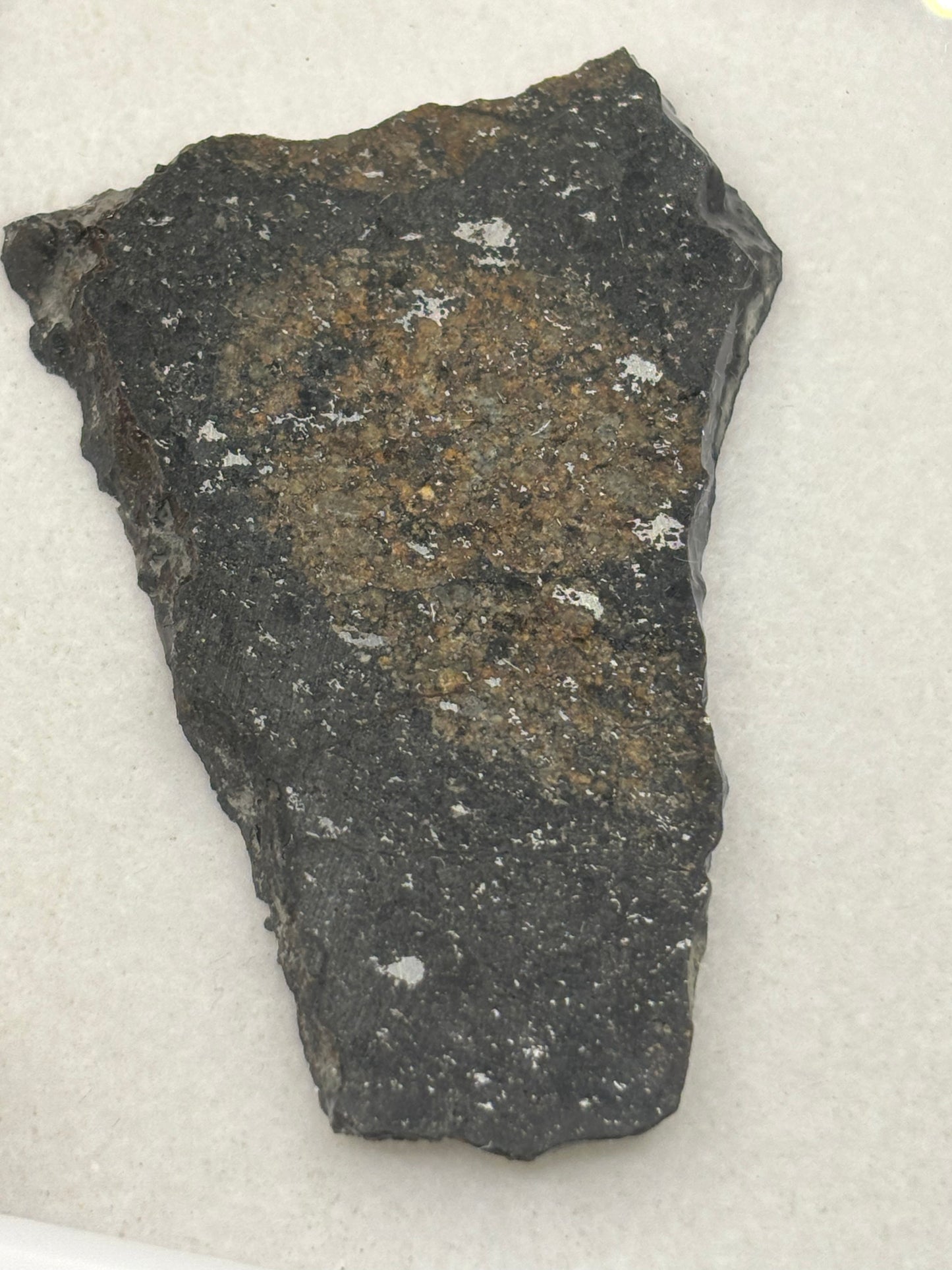 NWA 17273 Meteorite Specimen Official L5 Melt Breccia Northwest Africa Meteorite
