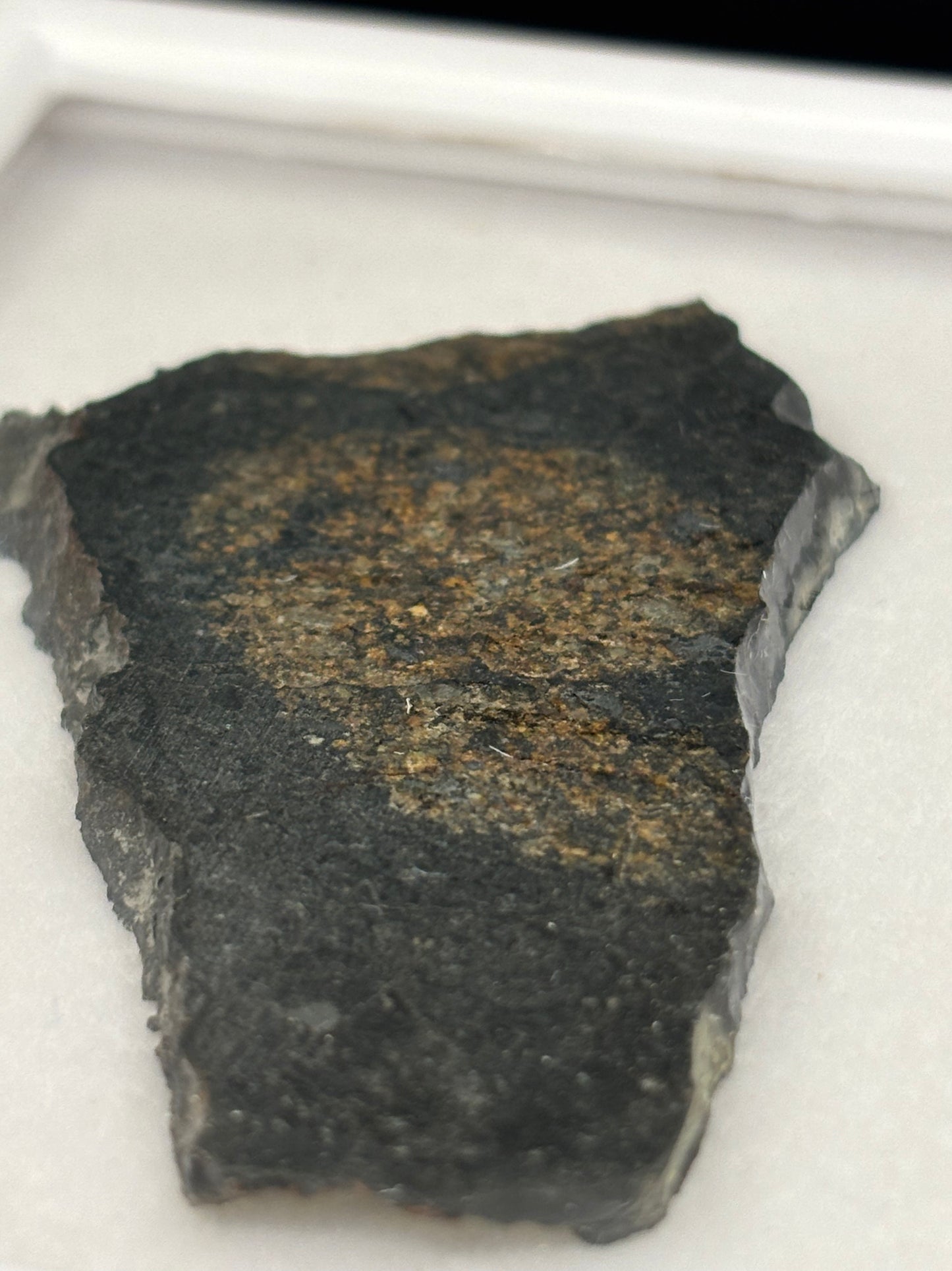 NWA 17273 Meteorite Specimen Official L5 Melt Breccia Northwest Africa Meteorite