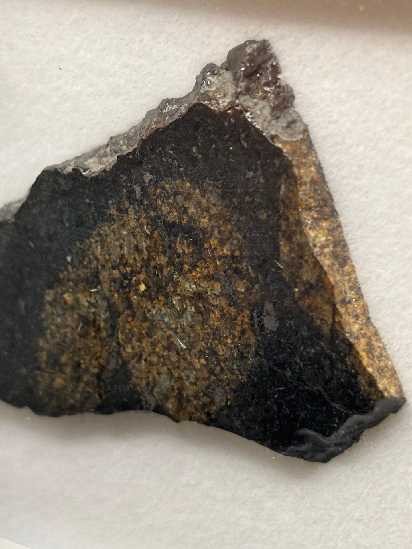 NWA 17273 Meteorite Specimen Official L5 Melt Breccia Northwest Africa Meteorite