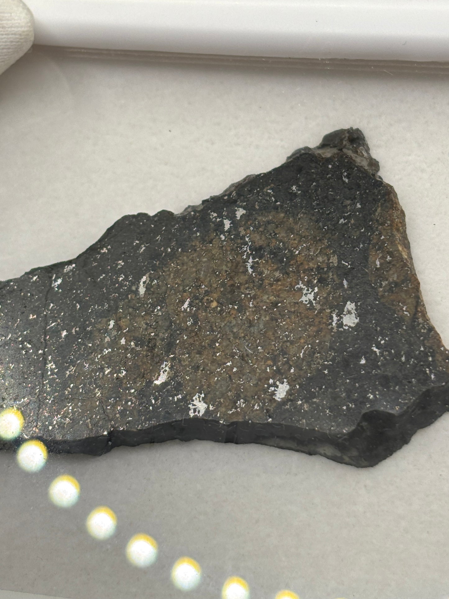 NWA 17273 Meteorite Specimen Official L5 Melt Breccia Northwest Africa Meteorite