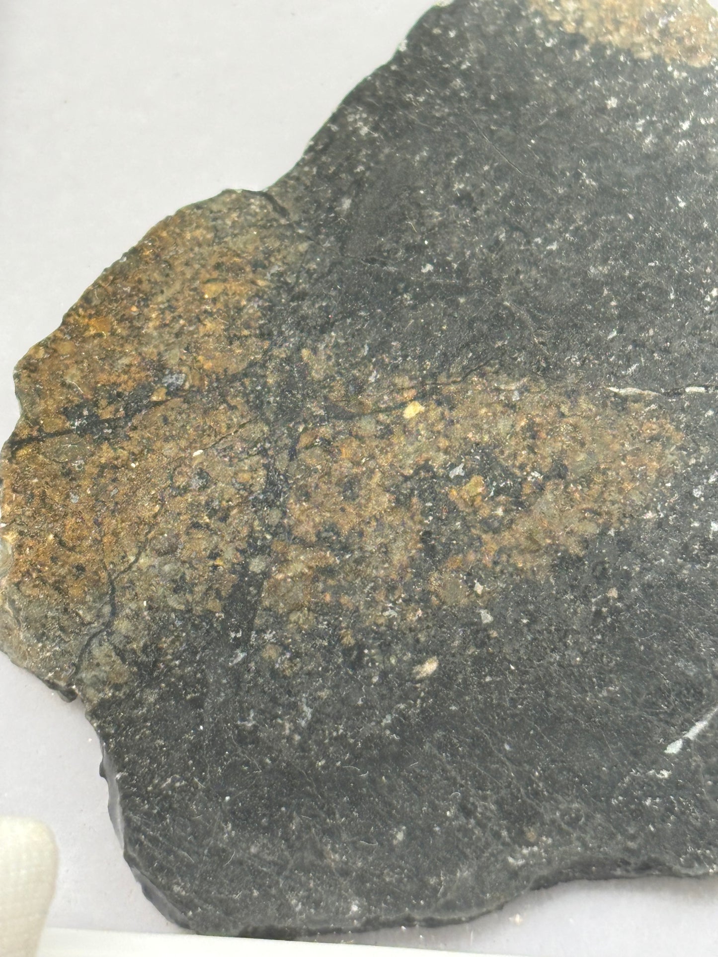 NWA 17273 Meteorite Specimen Official L5 Melt Breccia Northwest Africa Meteorite