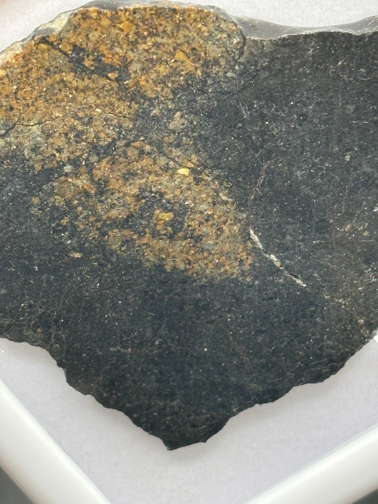 NWA 17273 Meteorite Specimen Official L5 Melt Breccia Northwest Africa Meteorite