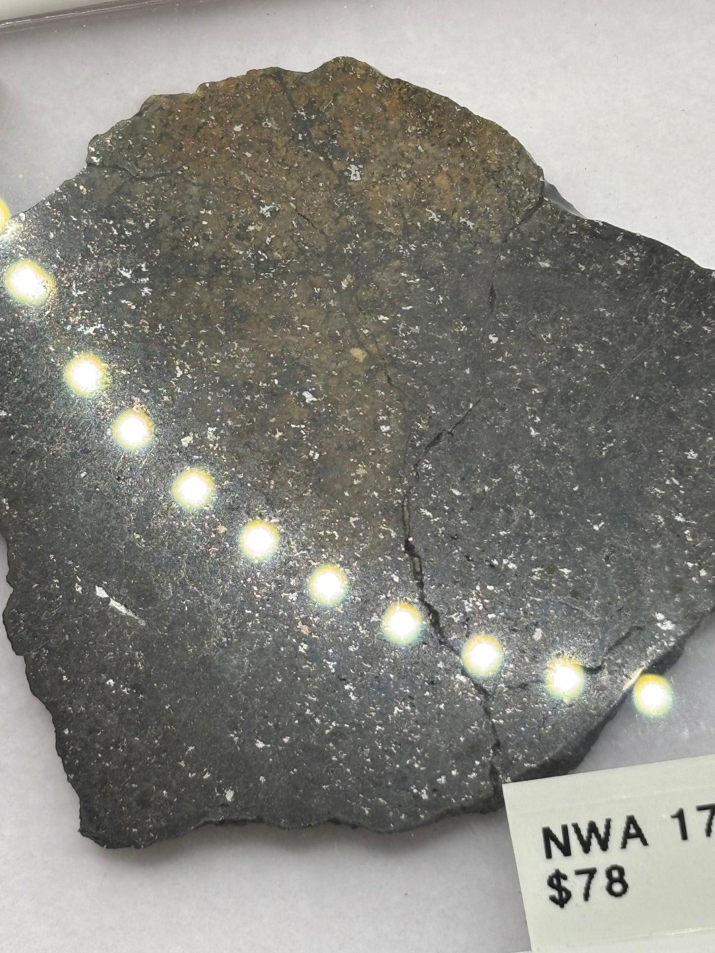 NWA 17273 Meteorite Specimen Official L5 Melt Breccia Northwest Africa Meteorite