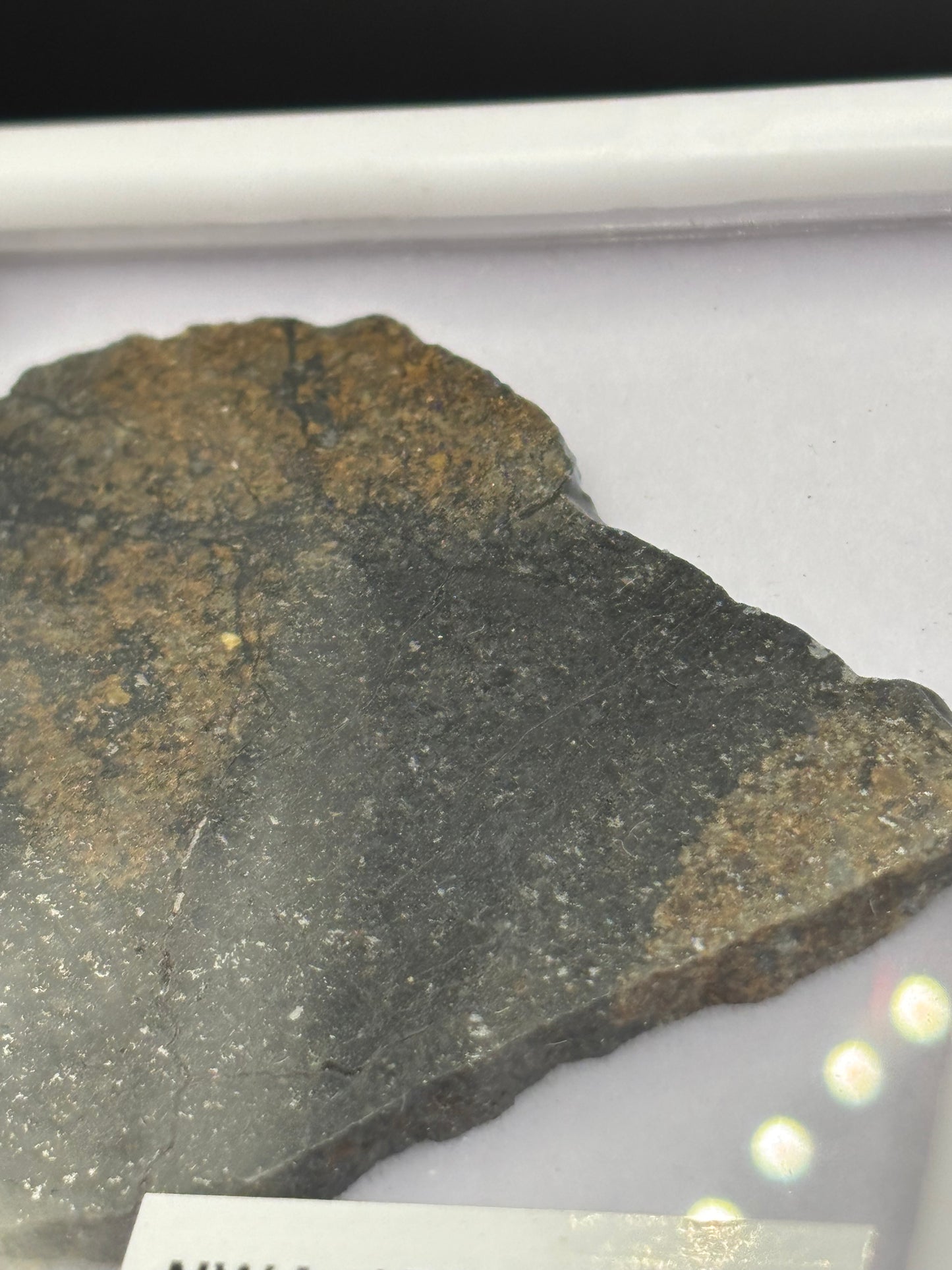 NWA 17273 Meteorite Specimen Official L5 Melt Breccia Northwest Africa Meteorite