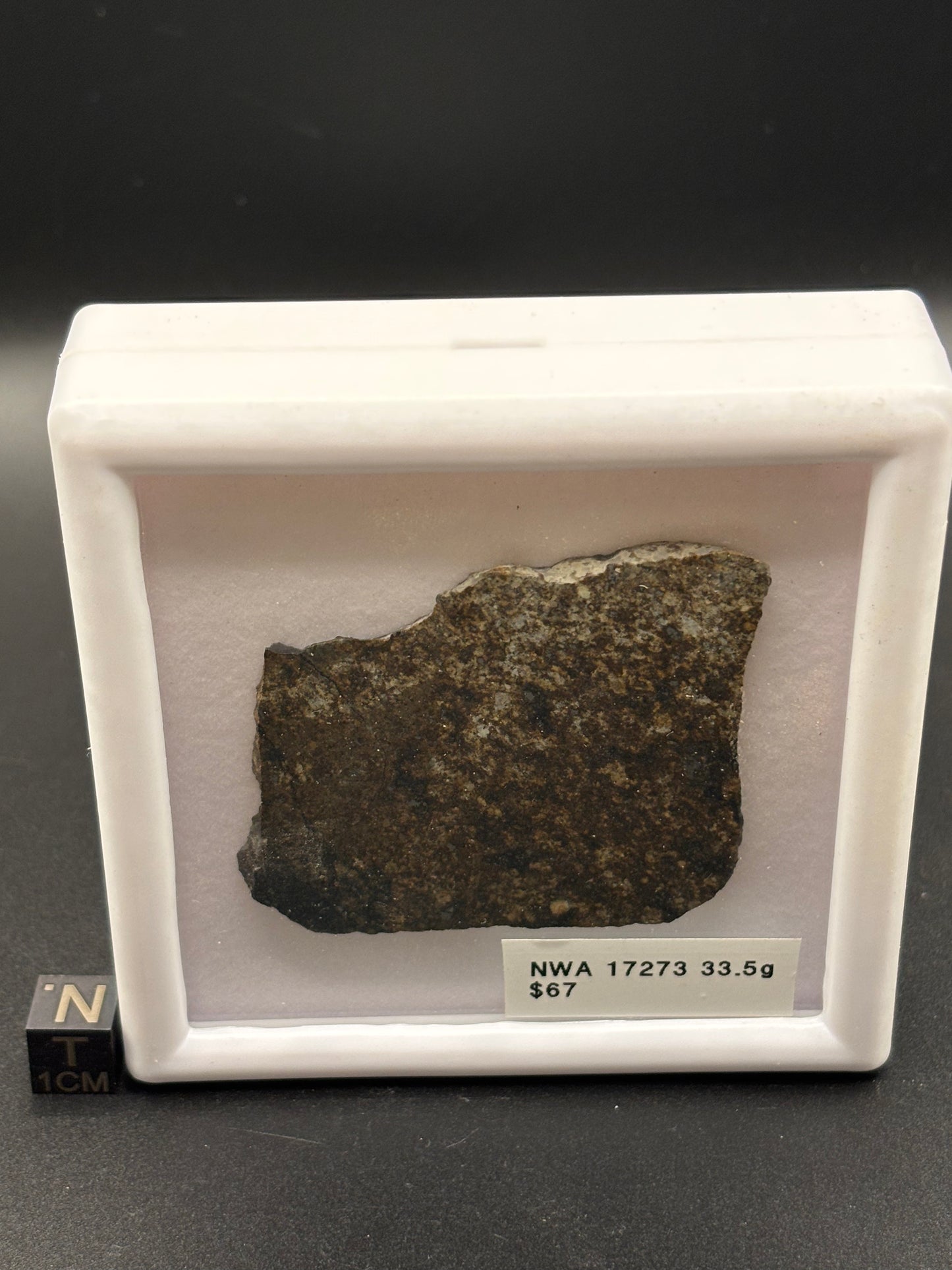 NWA 17273 Meteorite Specimen Official L5 Melt Breccia Northwest Africa Meteorite