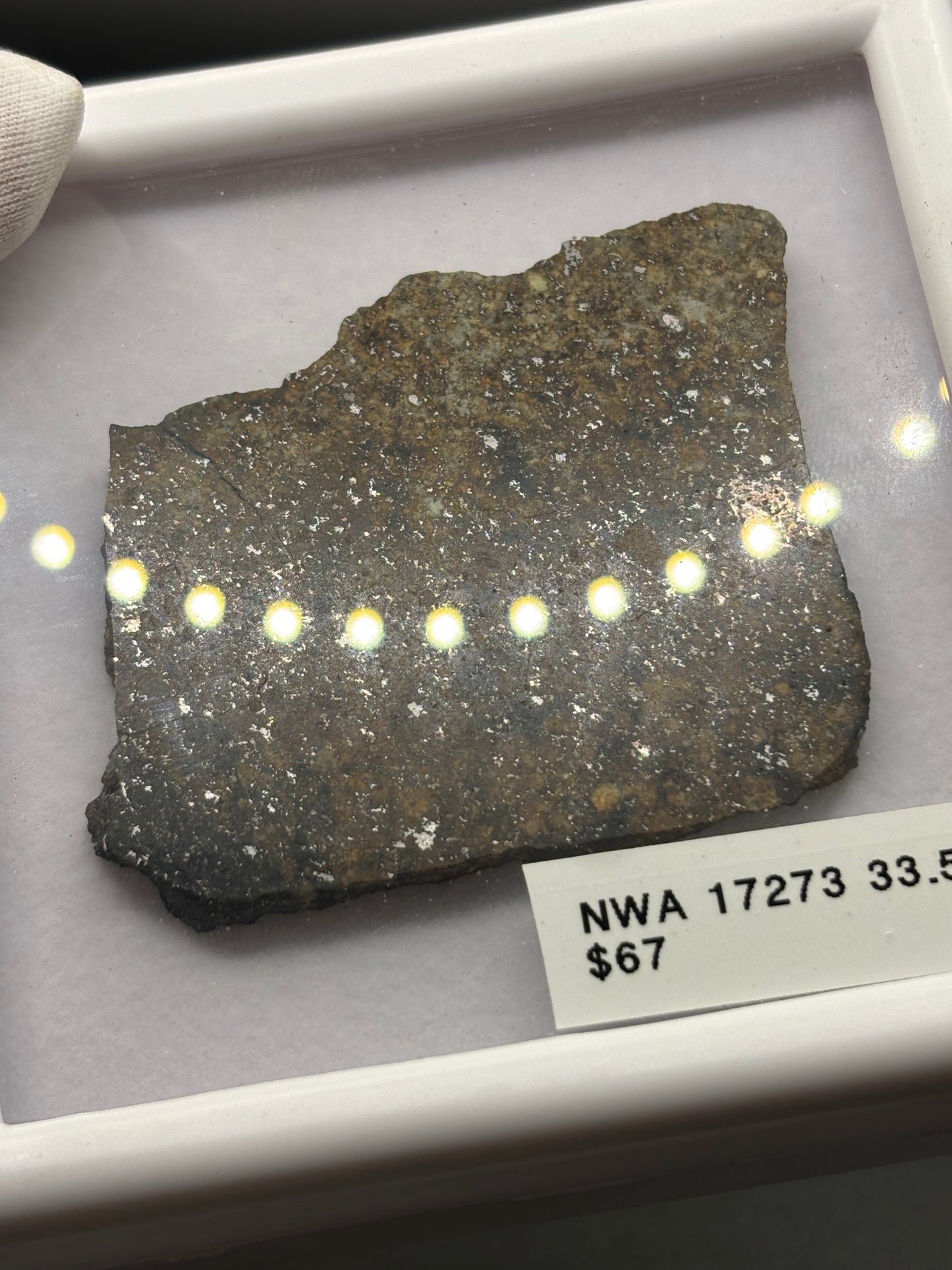 NWA 17273 Meteorite Specimen Official L5 Melt Breccia Northwest Africa Meteorite