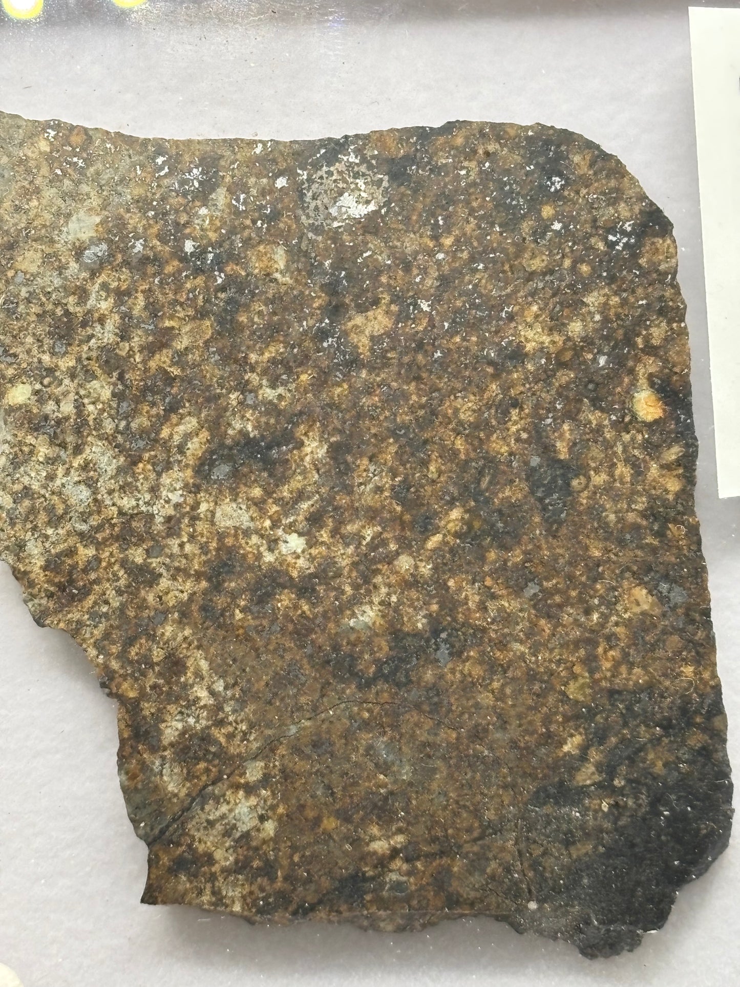 NWA 17273 Meteorite Specimen Official L5 Melt Breccia Northwest Africa Meteorite