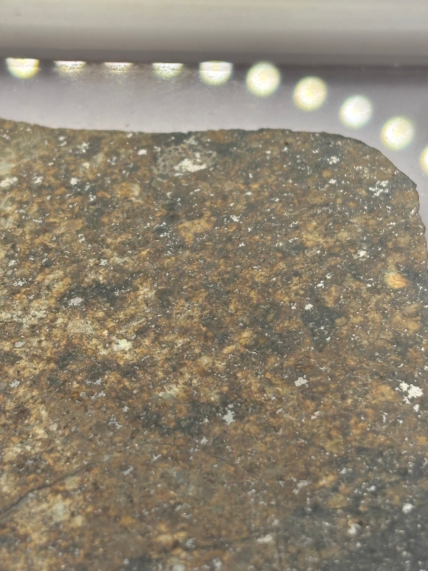NWA 17273 Meteorite Specimen Official L5 Melt Breccia Northwest Africa Meteorite