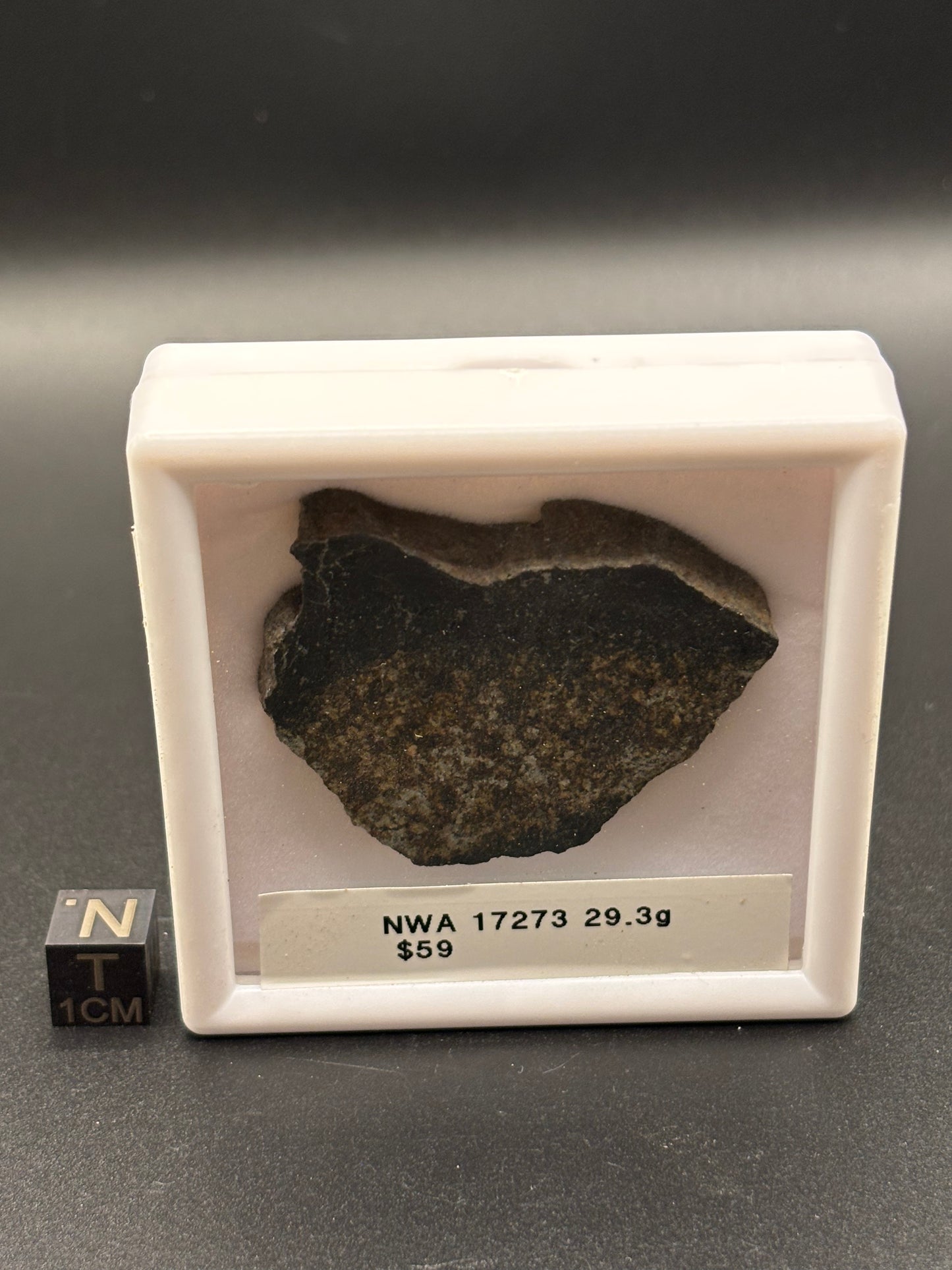 NWA 17273 Meteorite Specimen Official L5 Melt Breccia Northwest Africa Meteorite