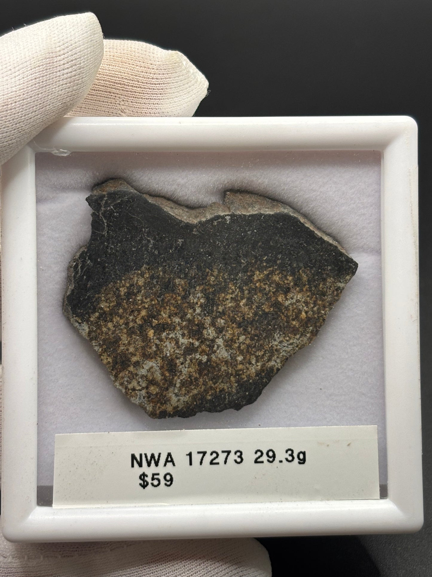 NWA 17273 Meteorite Specimen Official L5 Melt Breccia Northwest Africa Meteorite