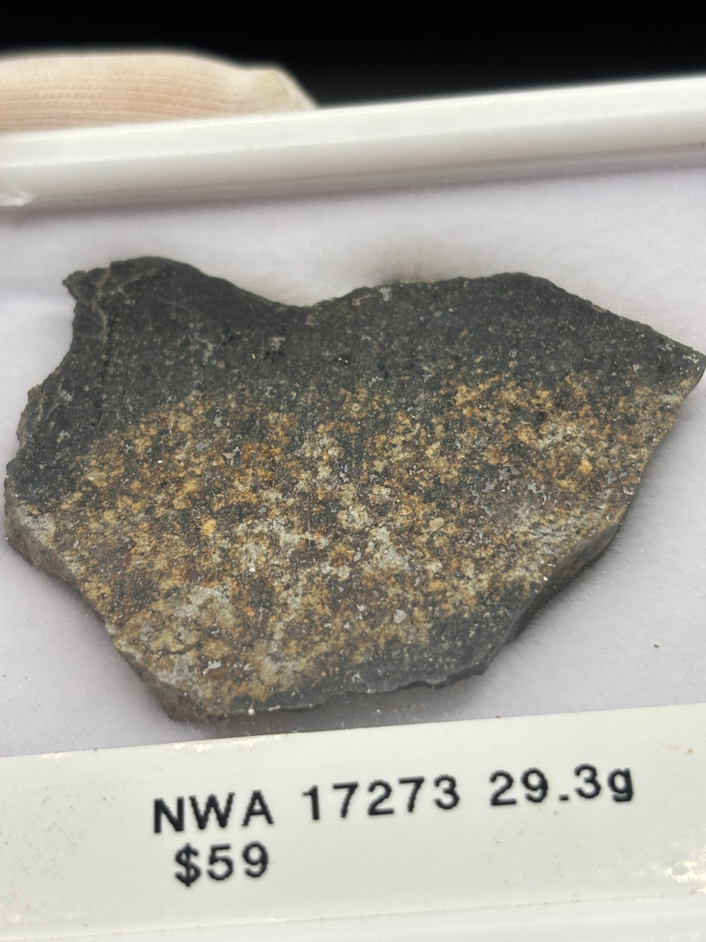 NWA 17273 Meteorite Specimen Official L5 Melt Breccia Northwest Africa Meteorite