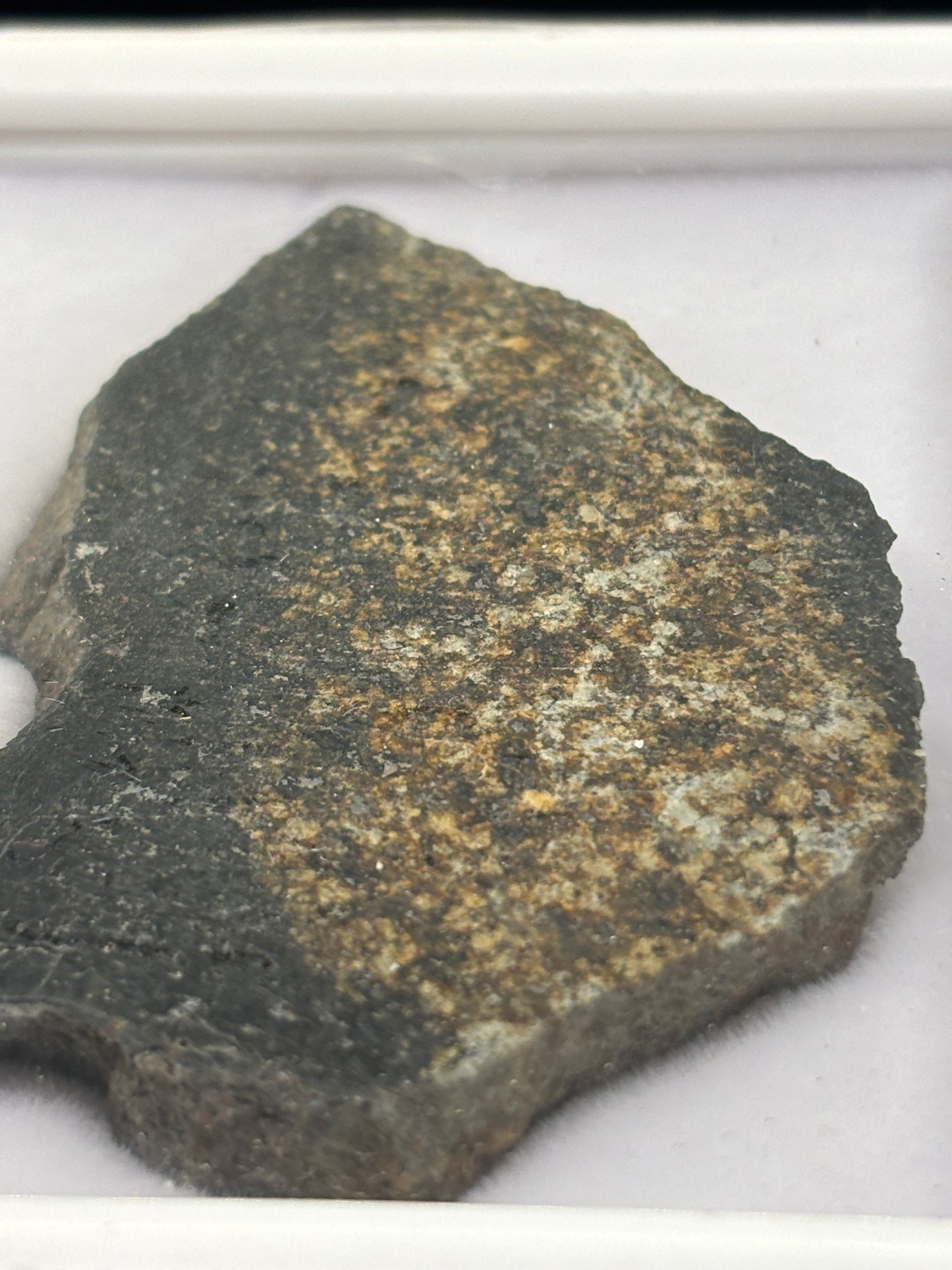 NWA 17273 Meteorite Specimen Official L5 Melt Breccia Northwest Africa Meteorite