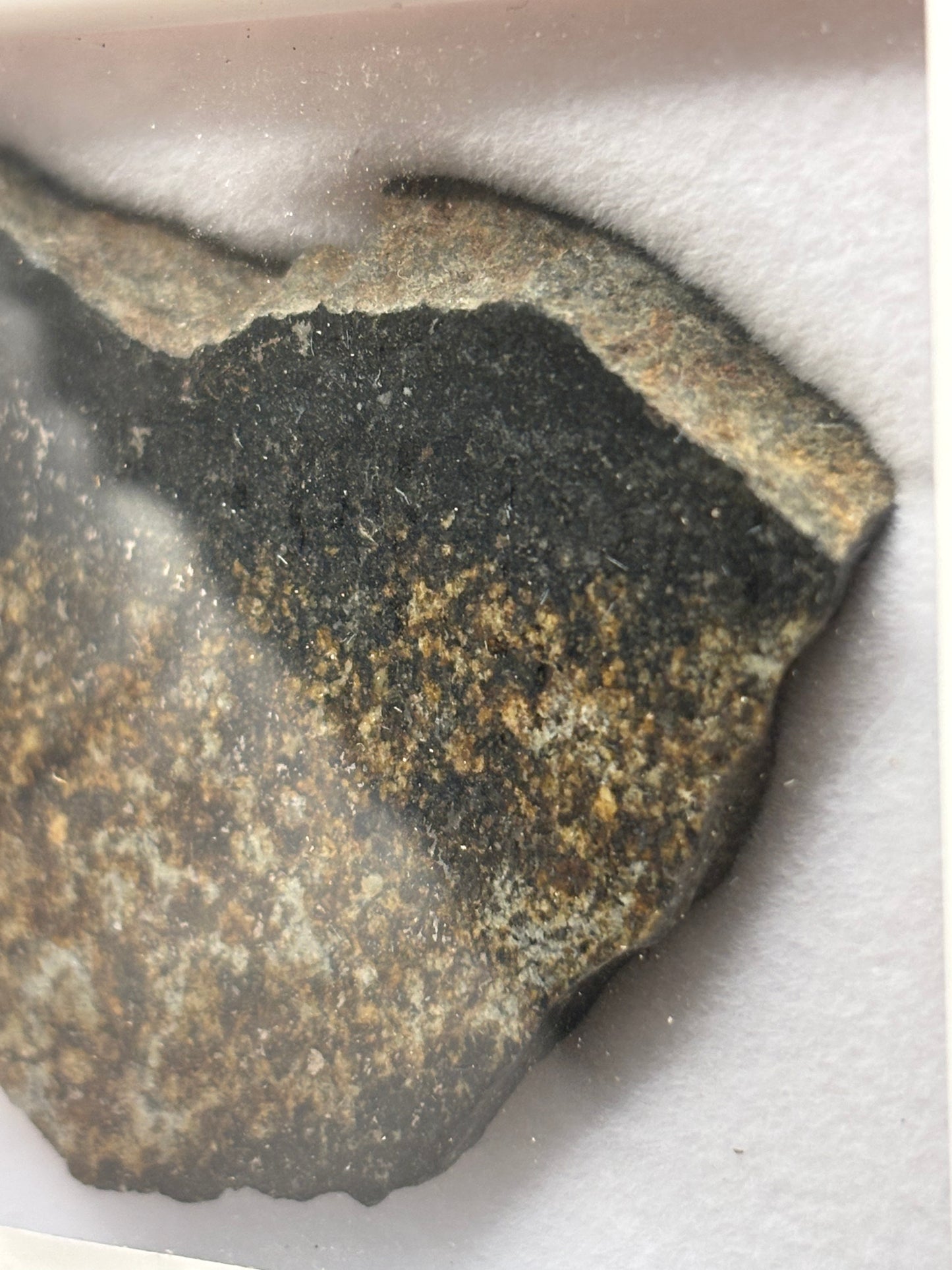 NWA 17273 Meteorite Specimen Official L5 Melt Breccia Northwest Africa Meteorite