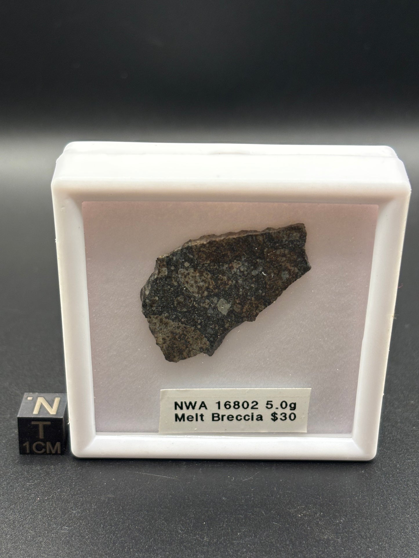 NWA 16802 Meteorite Specimen Official H5 Melt Breccia Northwest Africa Meteorite