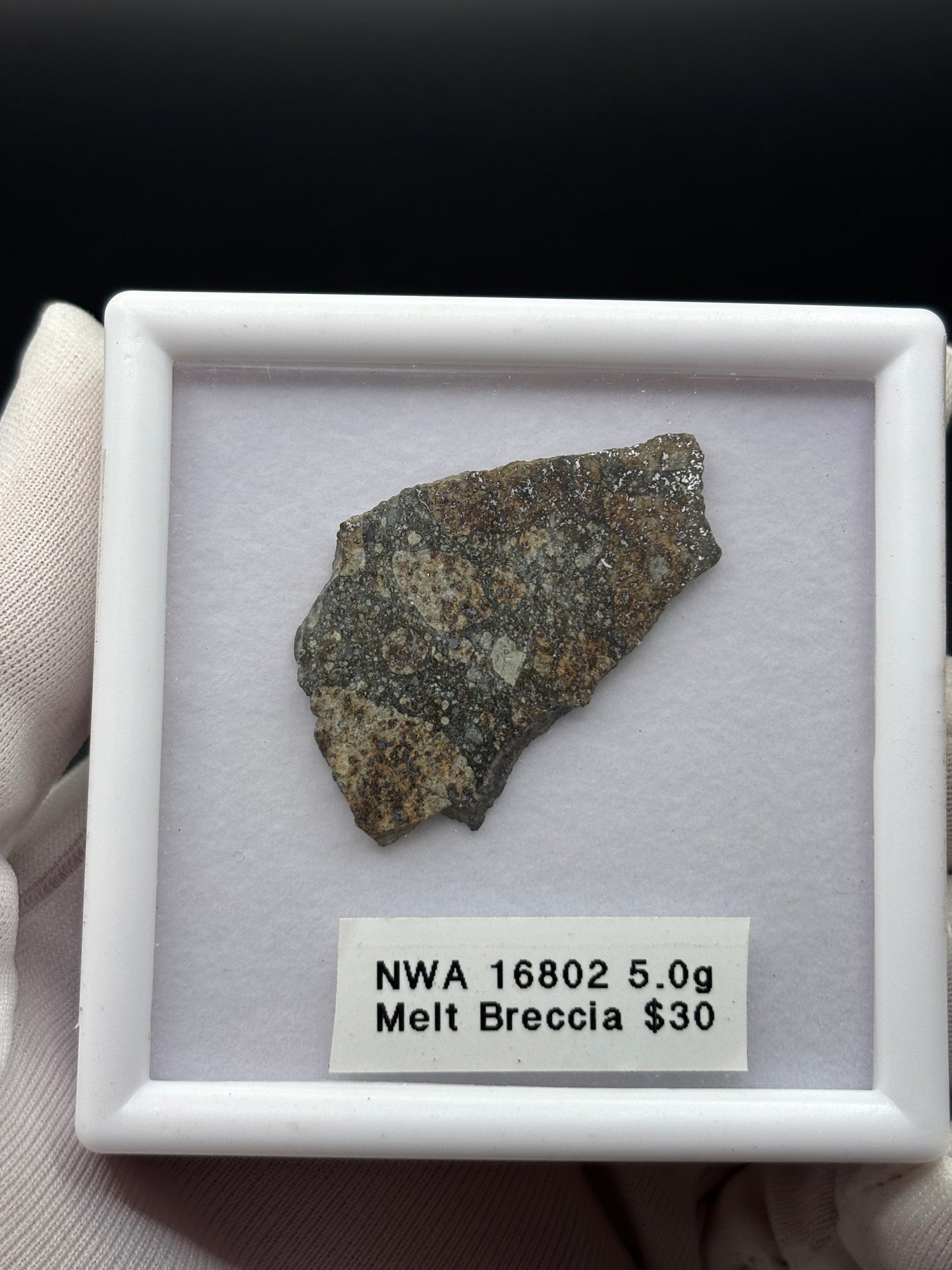 NWA 16802 Meteorite Specimen Official H5 Melt Breccia Northwest Africa Meteorite