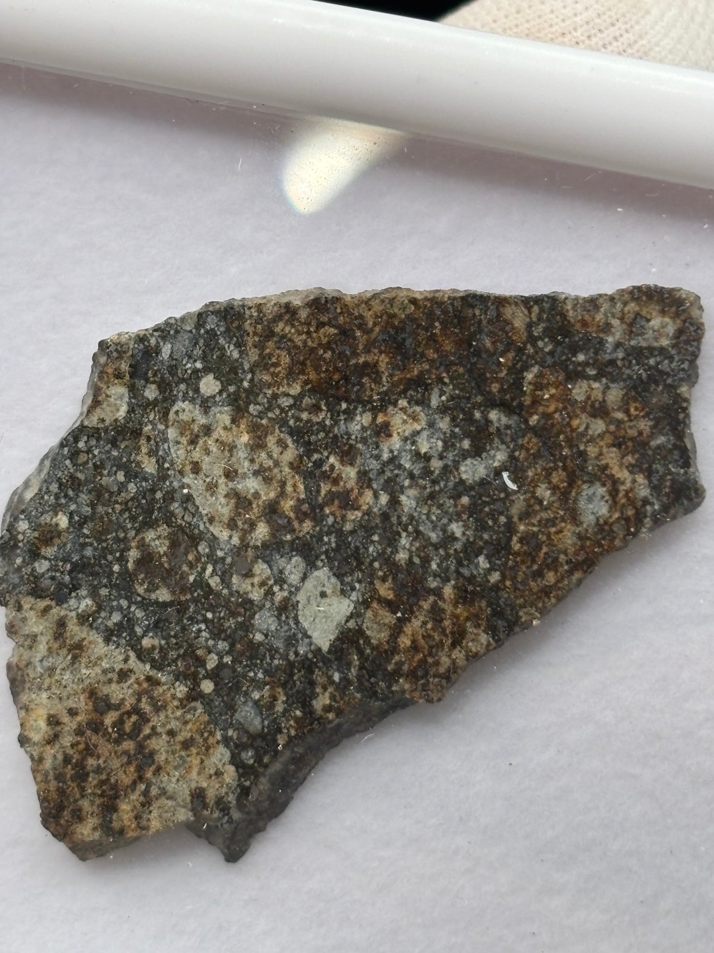 NWA 16802 Meteorite Specimen Official H5 Melt Breccia Northwest Africa Meteorite