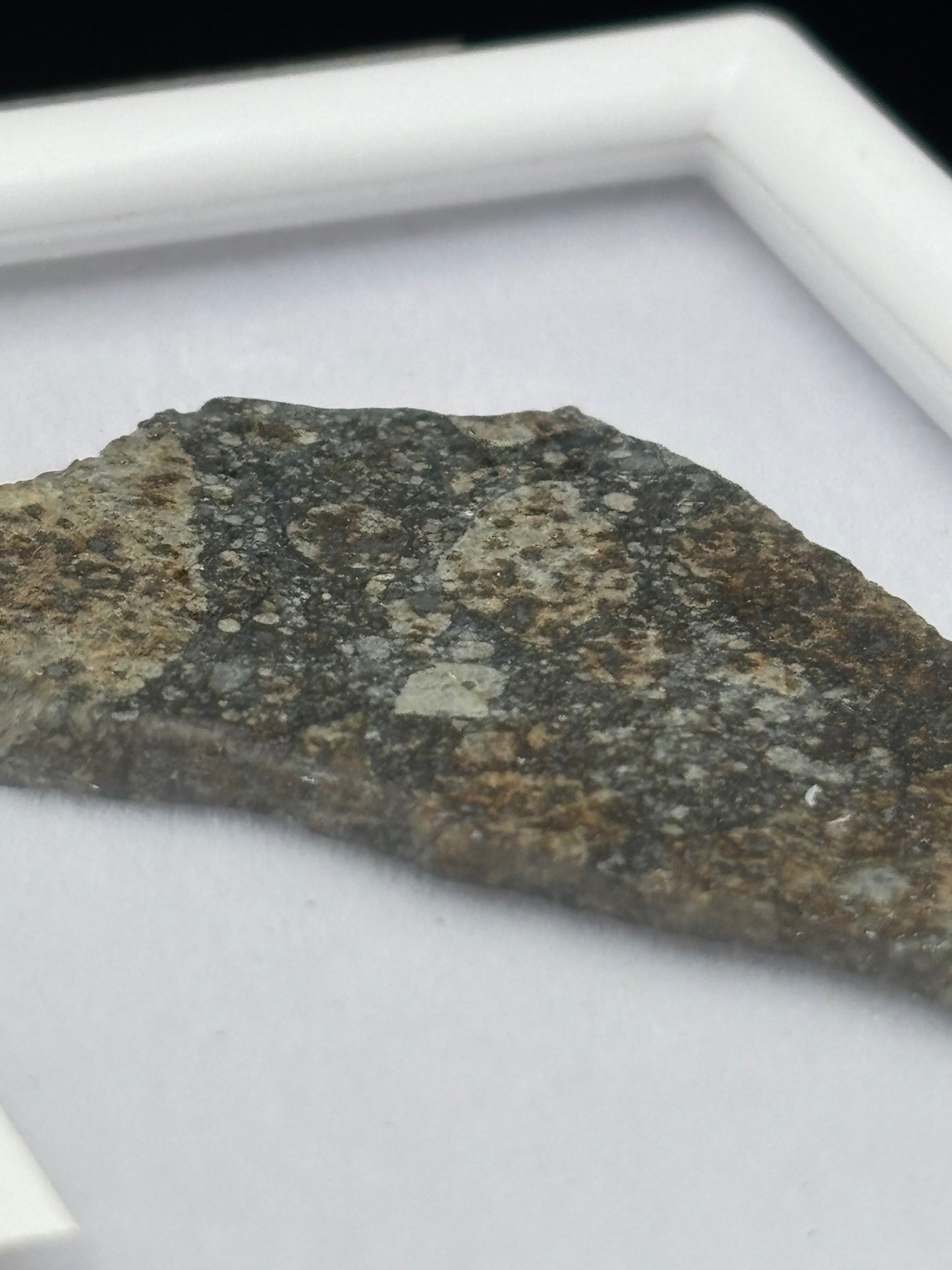 NWA 16802 Meteorite Specimen Official H5 Melt Breccia Northwest Africa Meteorite