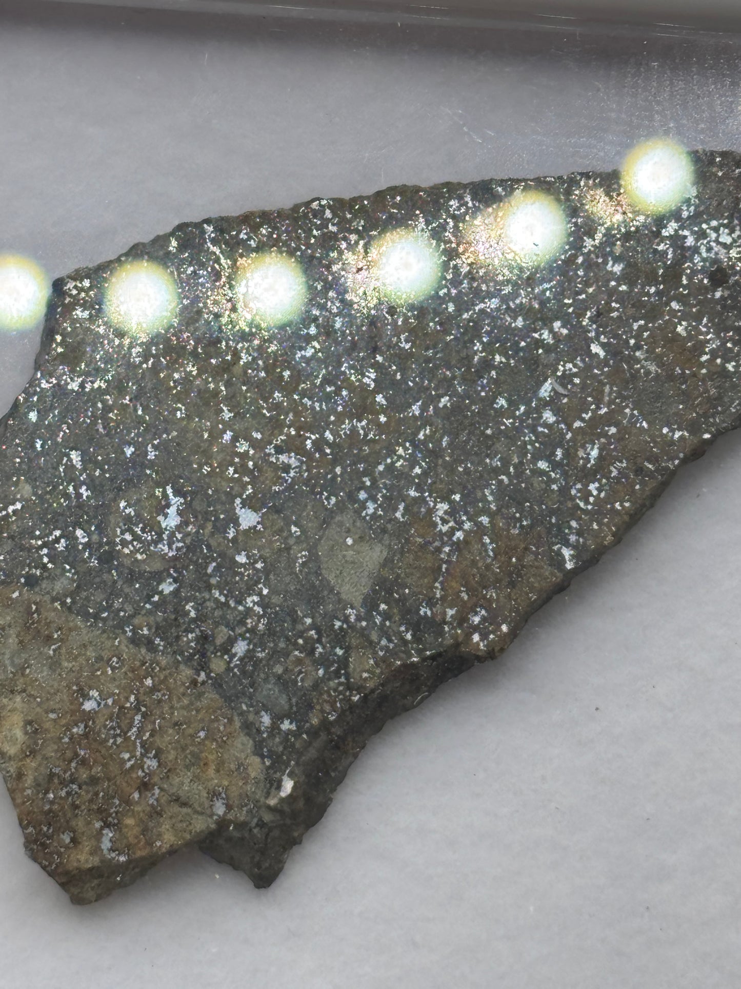 NWA 16802 Meteorite Specimen Official H5 Melt Breccia Northwest Africa Meteorite